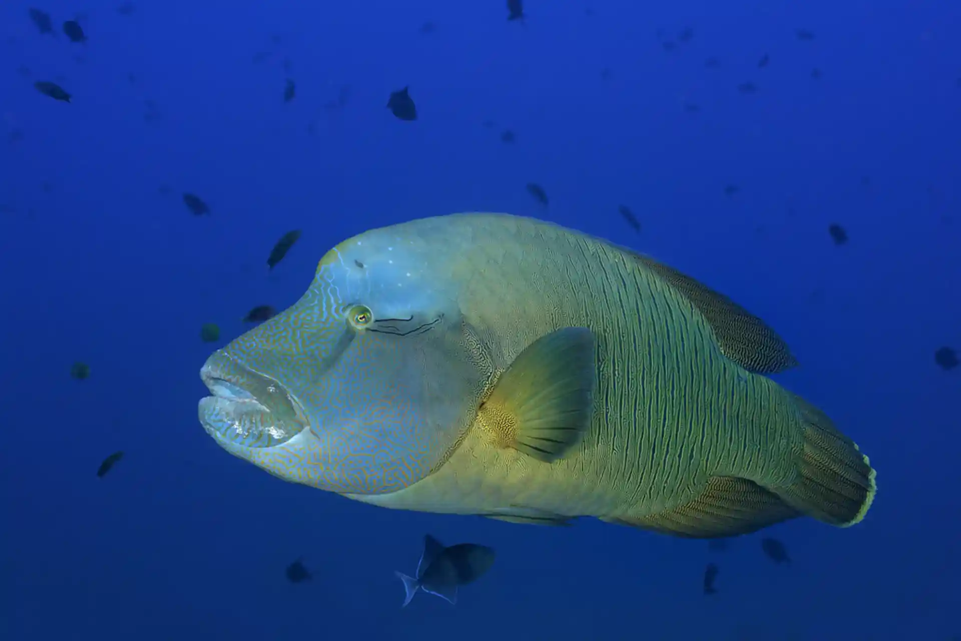 Dive site photo