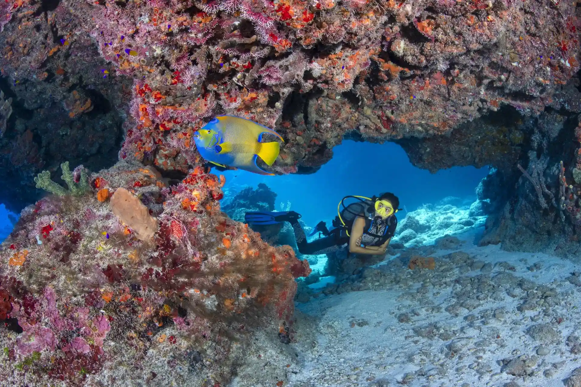 Dive site photo