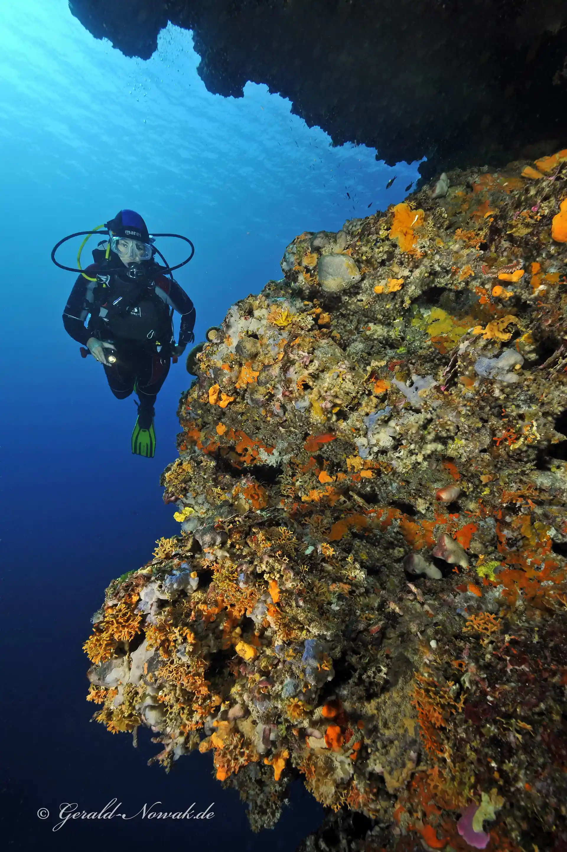 Photo de l'activité