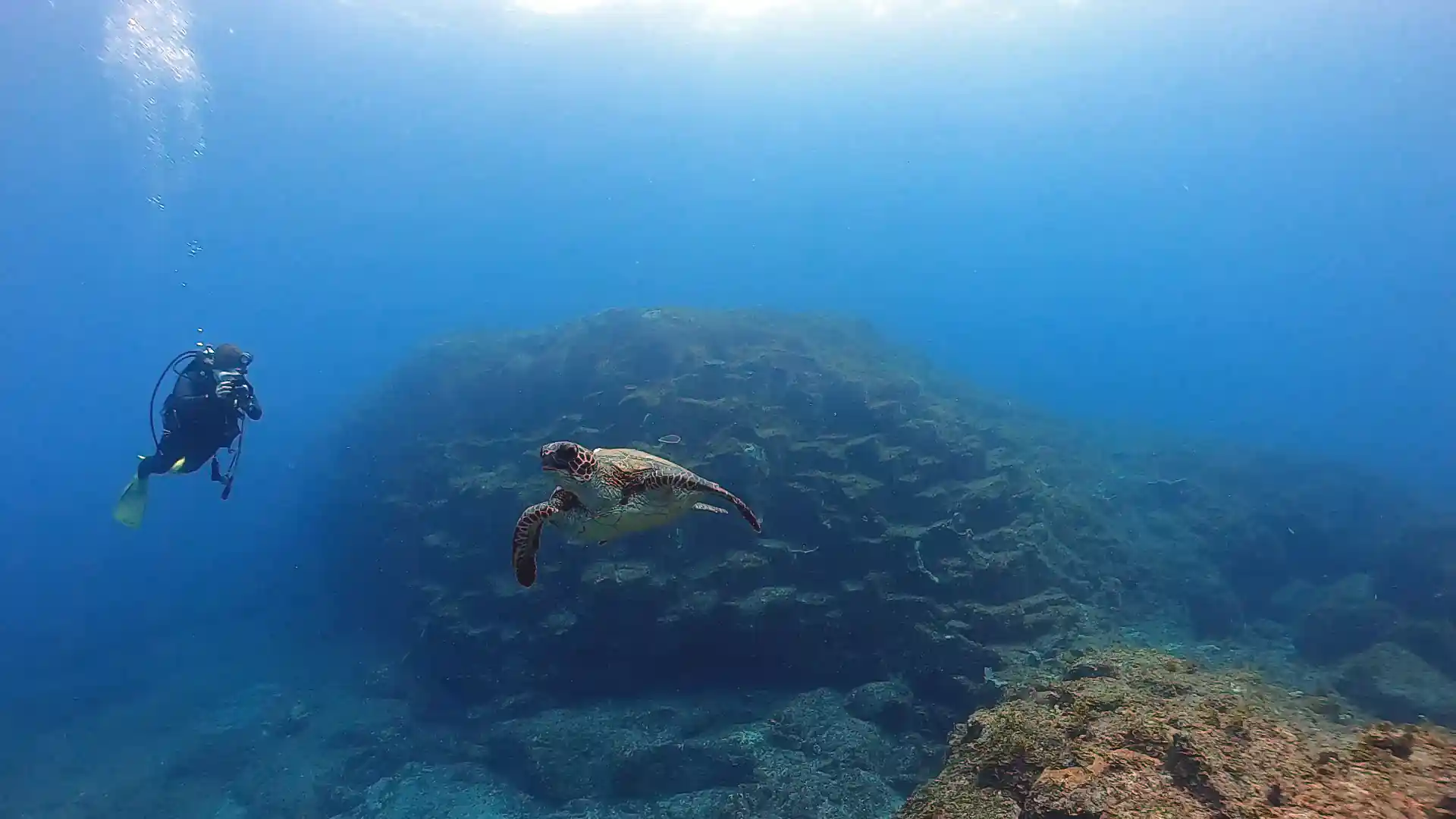 Dive shop photo