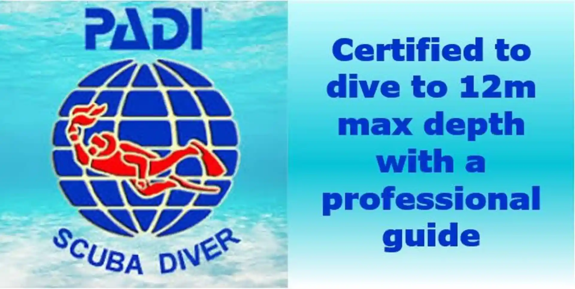 Sporttaucher können bis zu 12 m tauchen und müssen immer mit einem zertifizierten professionellen Guide tauchen