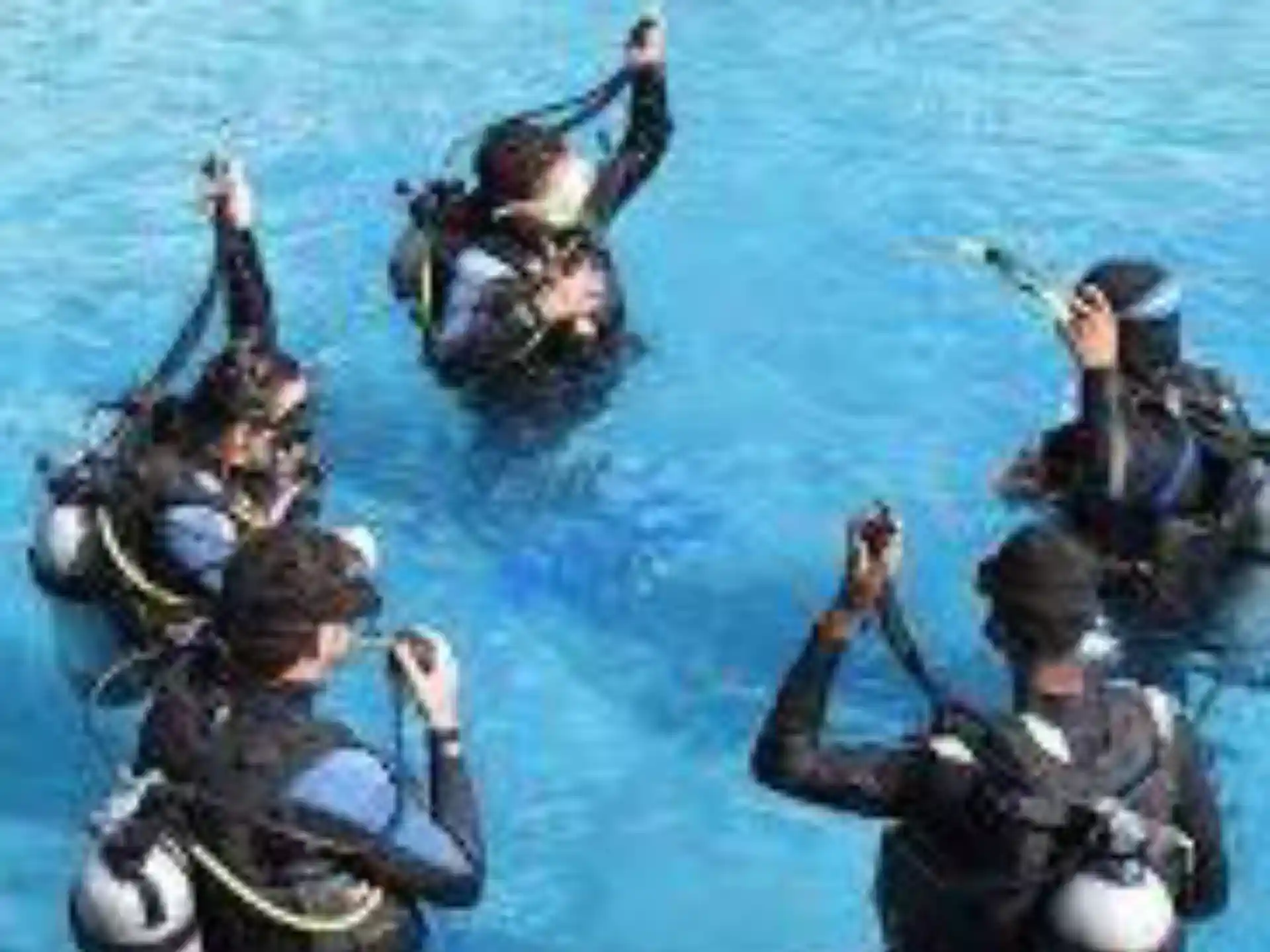 Dive shop photo