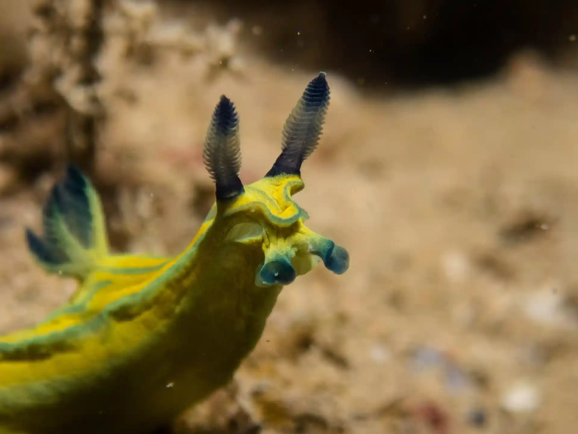 Foto del sitio de buceo