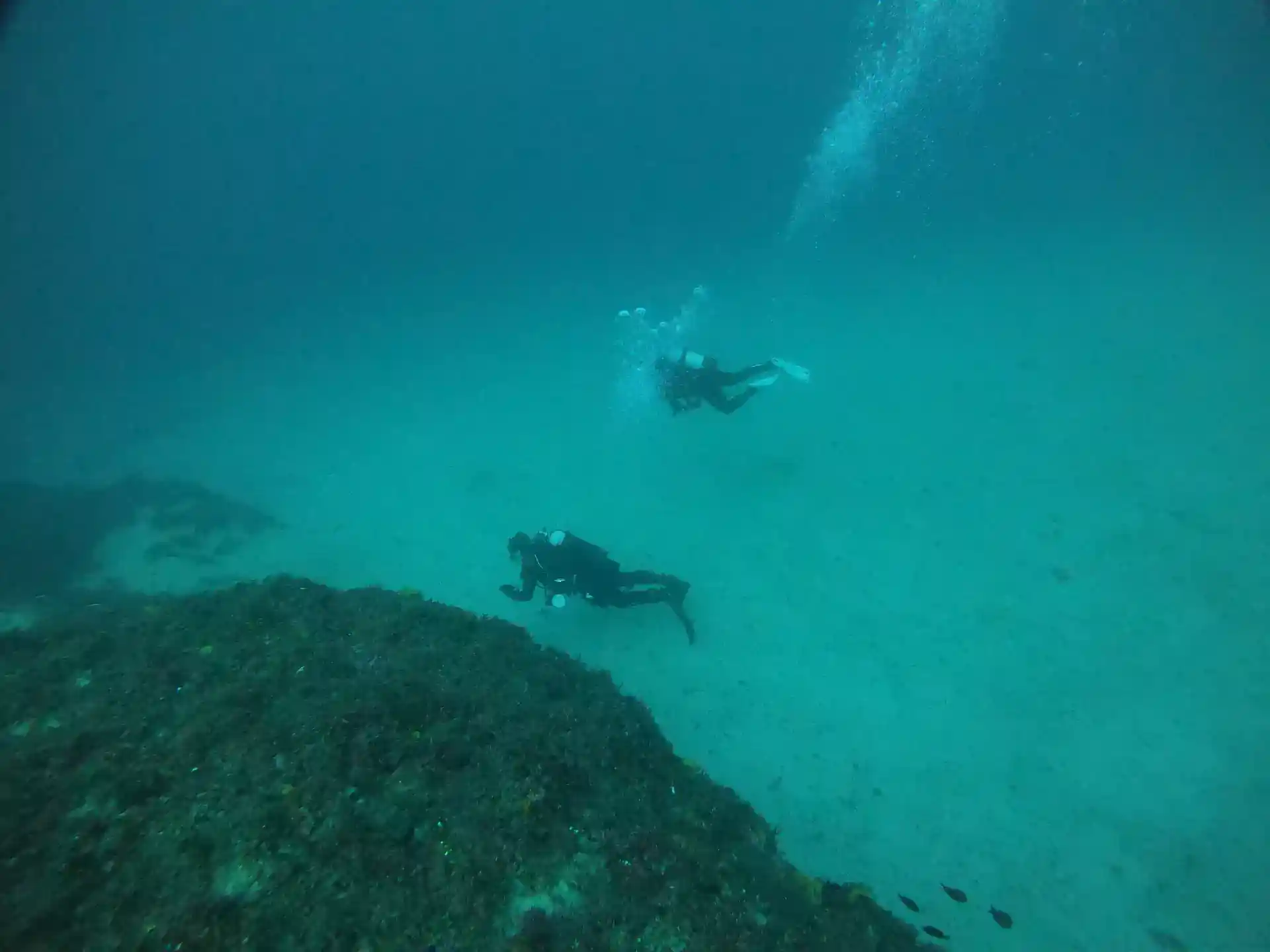 다이빙 포인트 사진