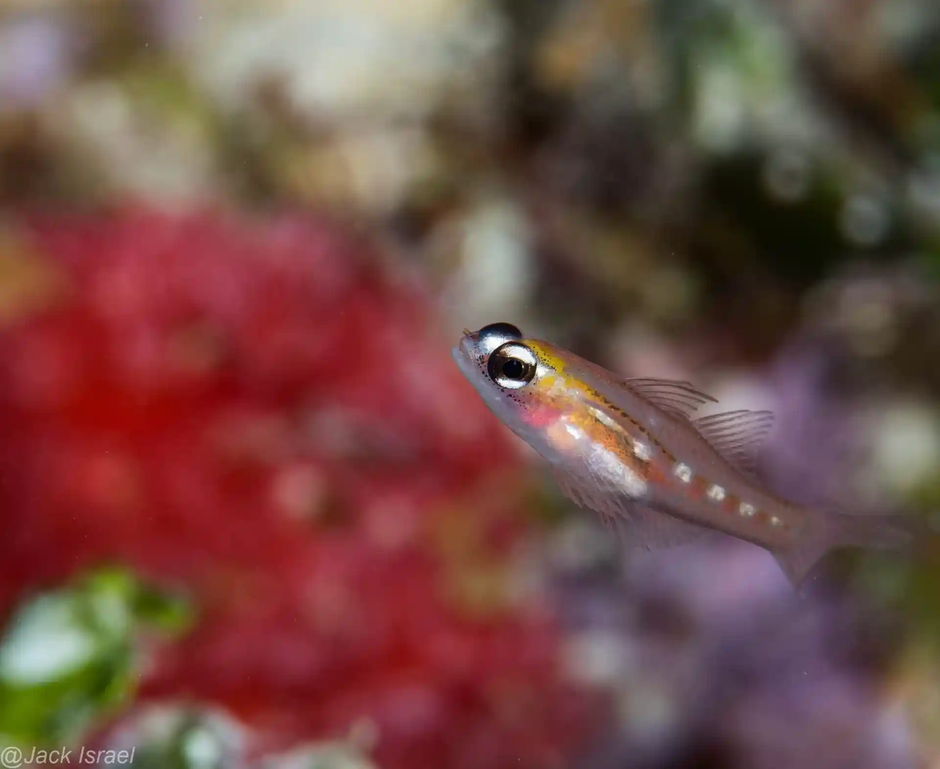 Foto des Tauchplatzes