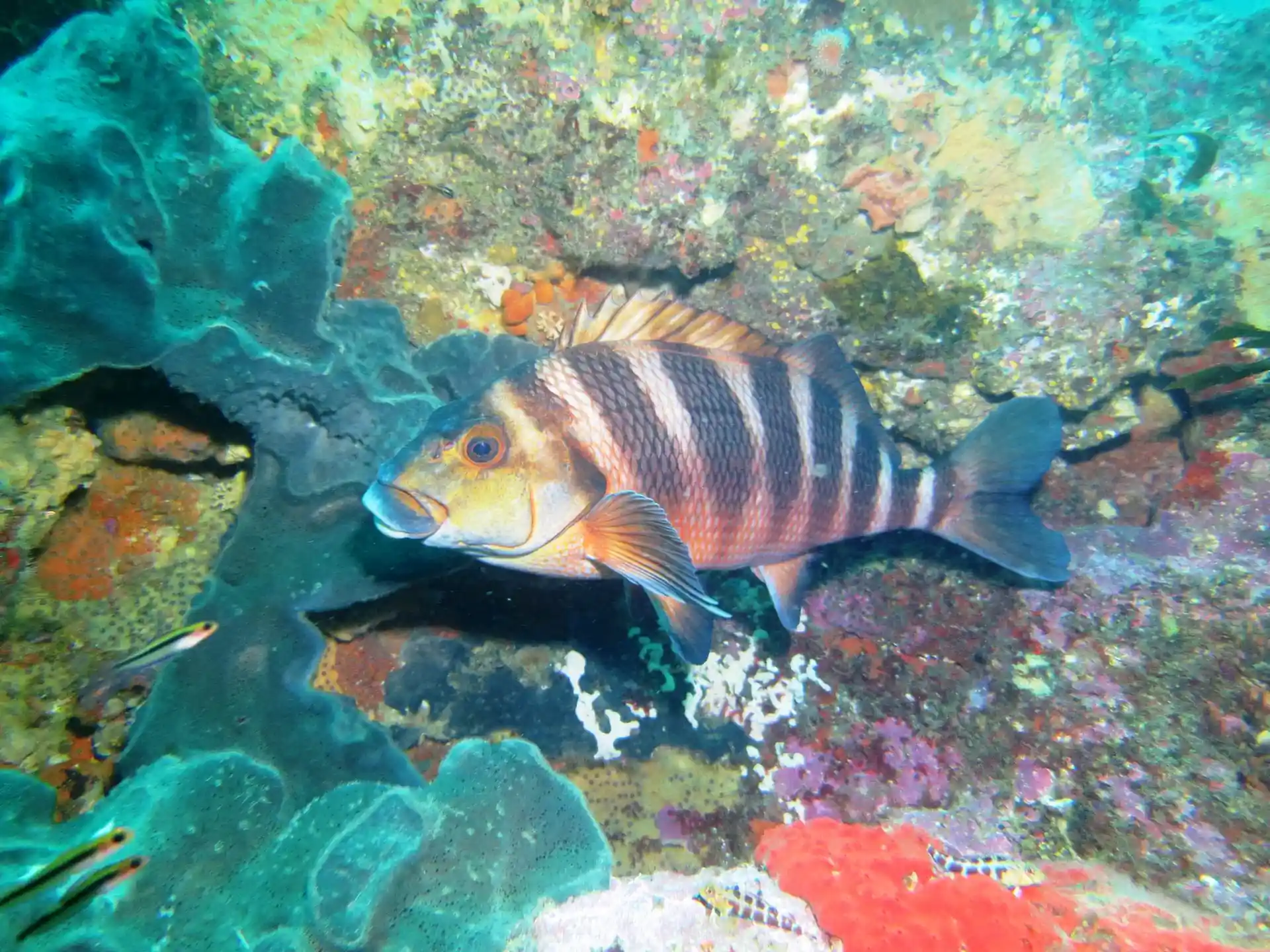 다이빙 포인트 사진