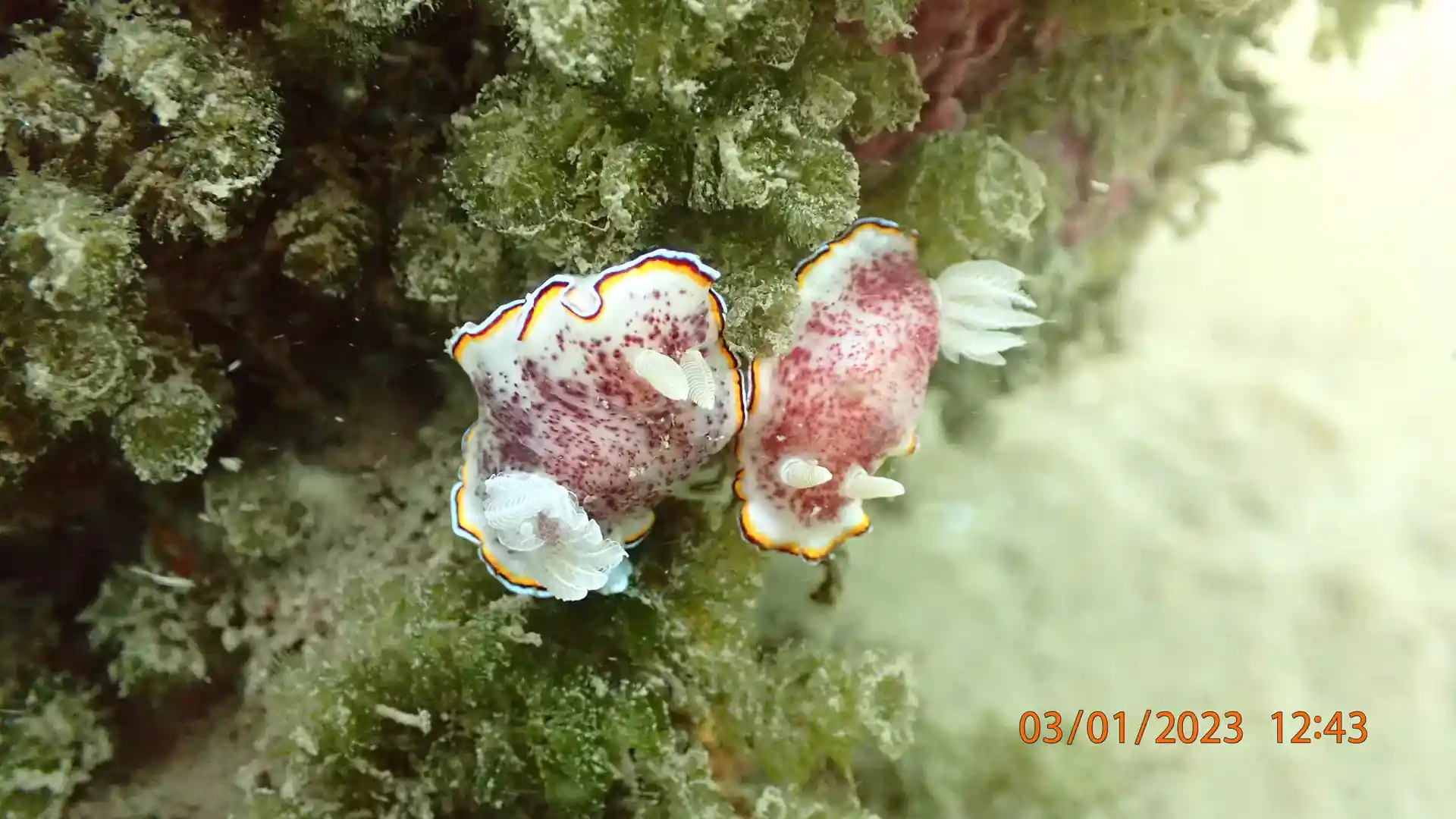 Dive site photo