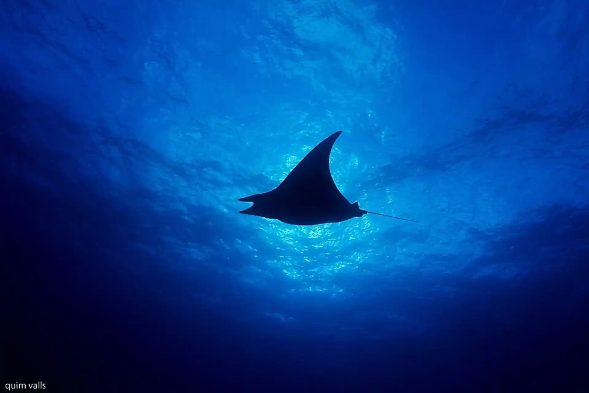 Dive shop photo
