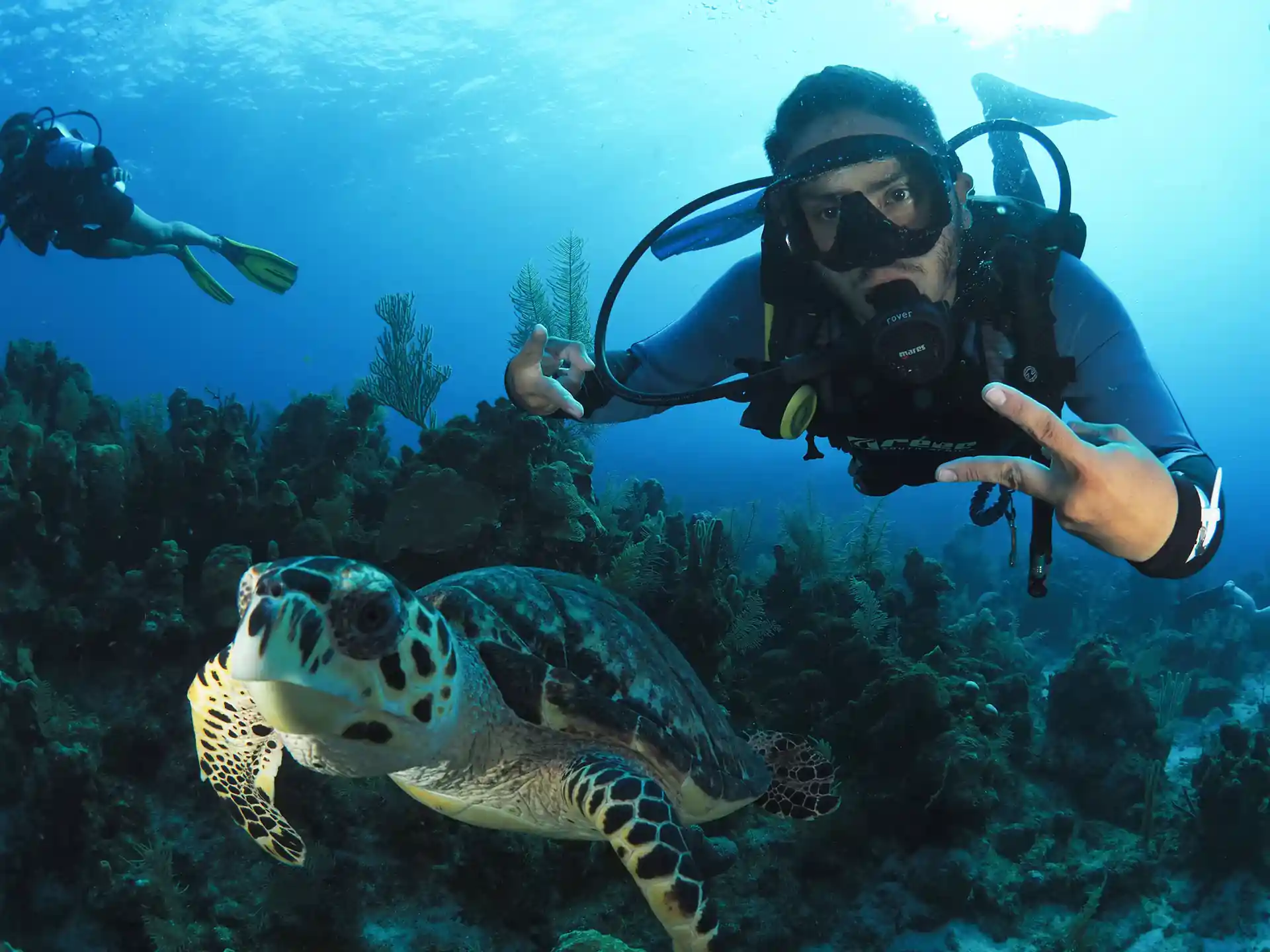 Foto de la actividad