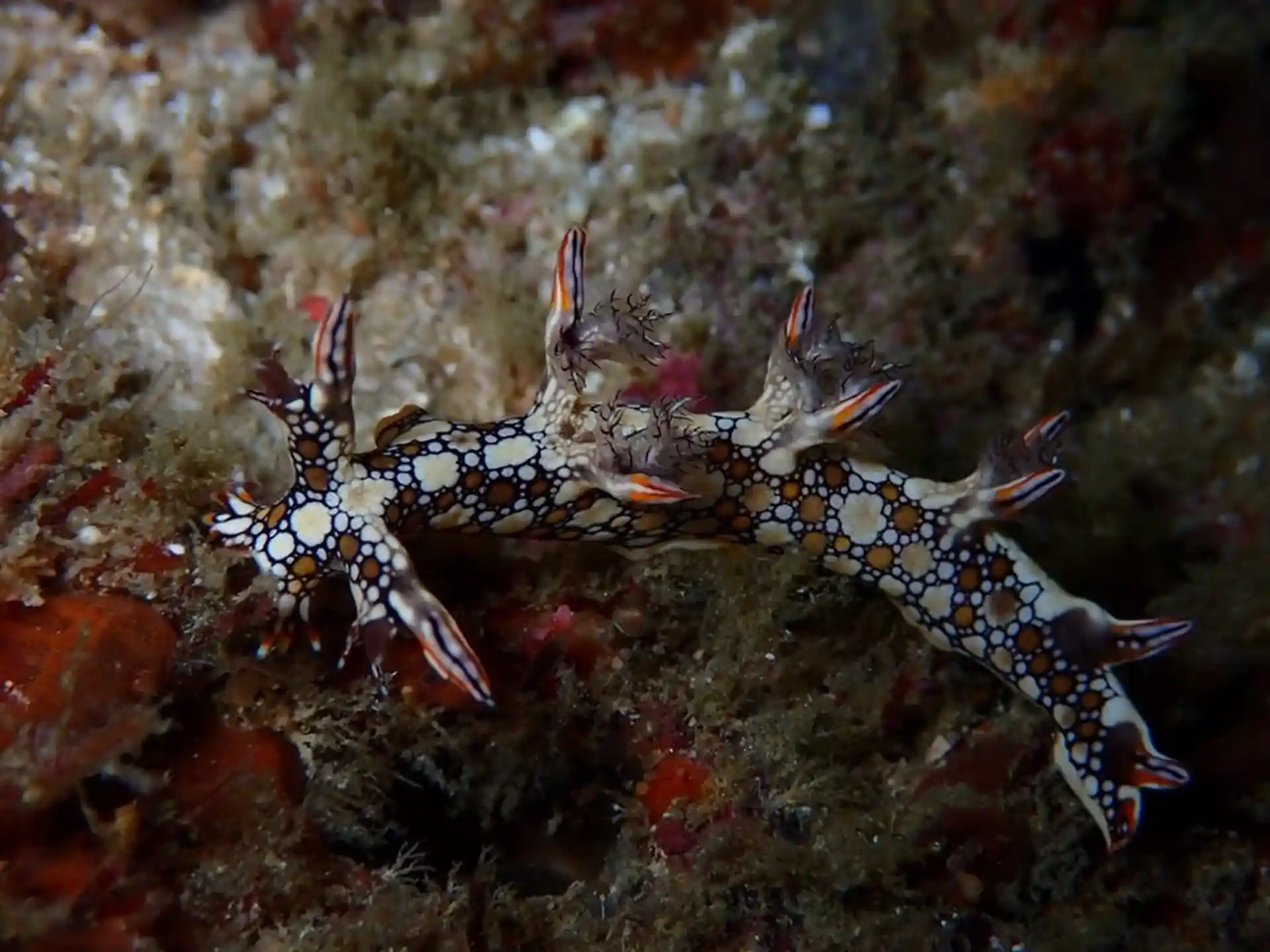 Foto de la actividad