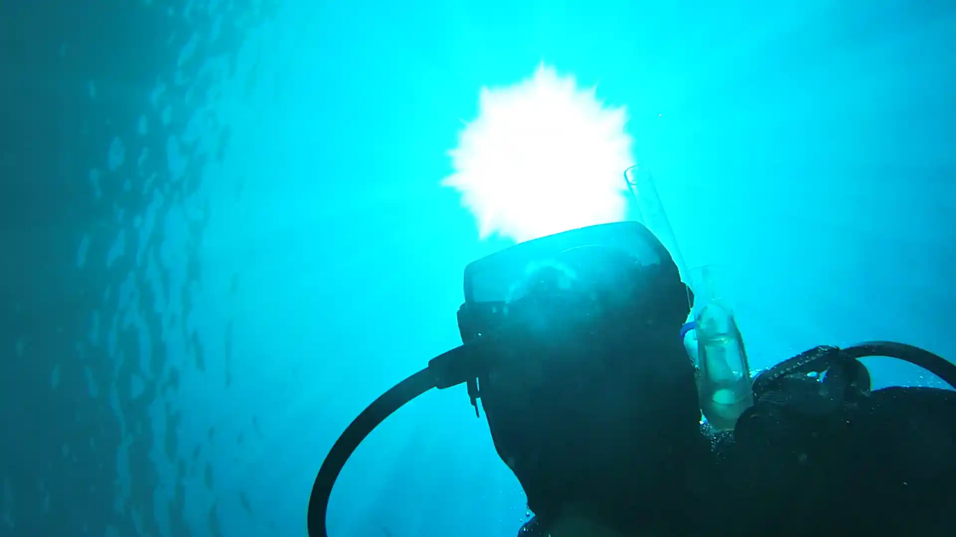 다이빙 포인트 사진