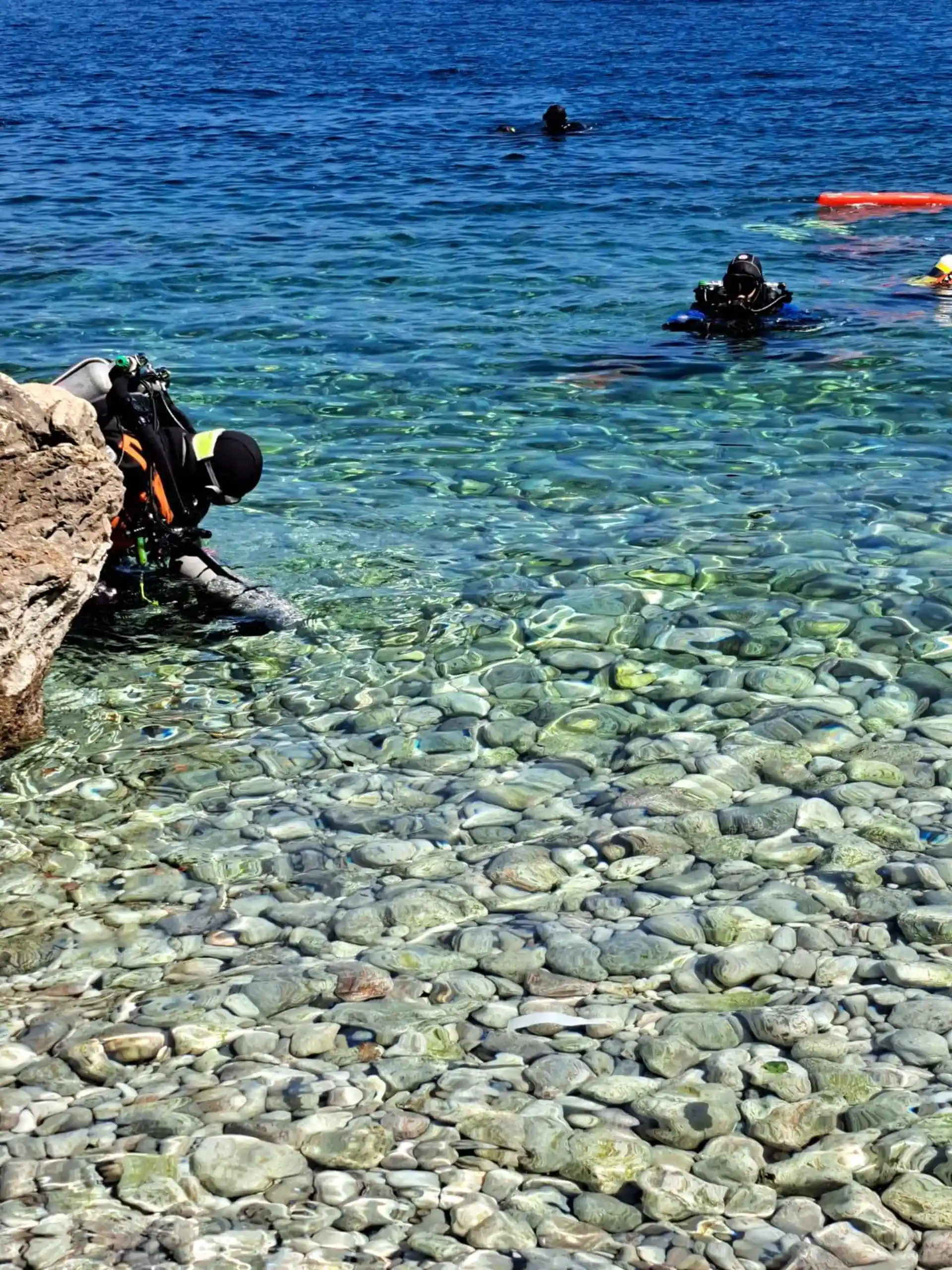 snorkeltrip daily