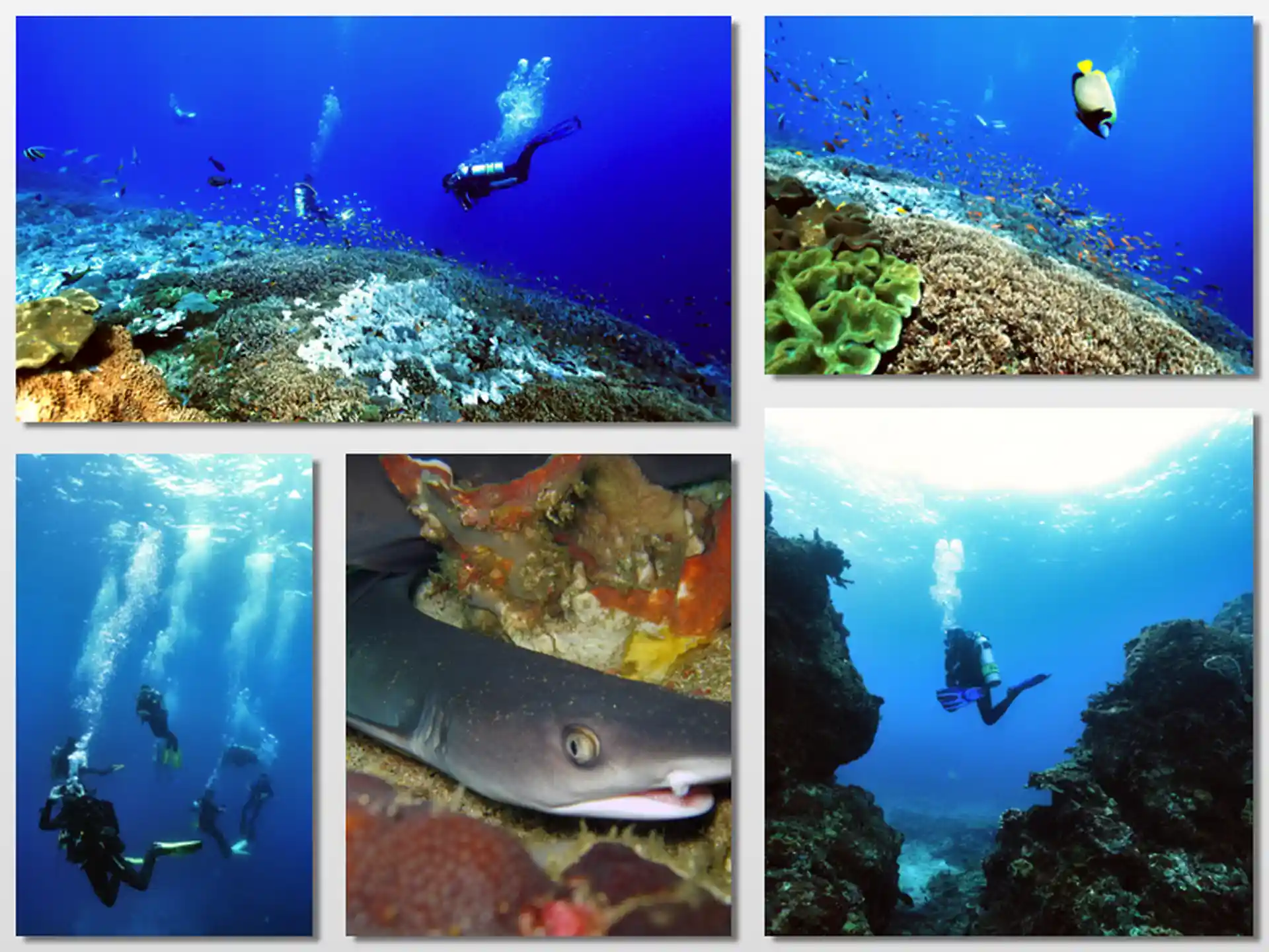 Photo du site de plongée