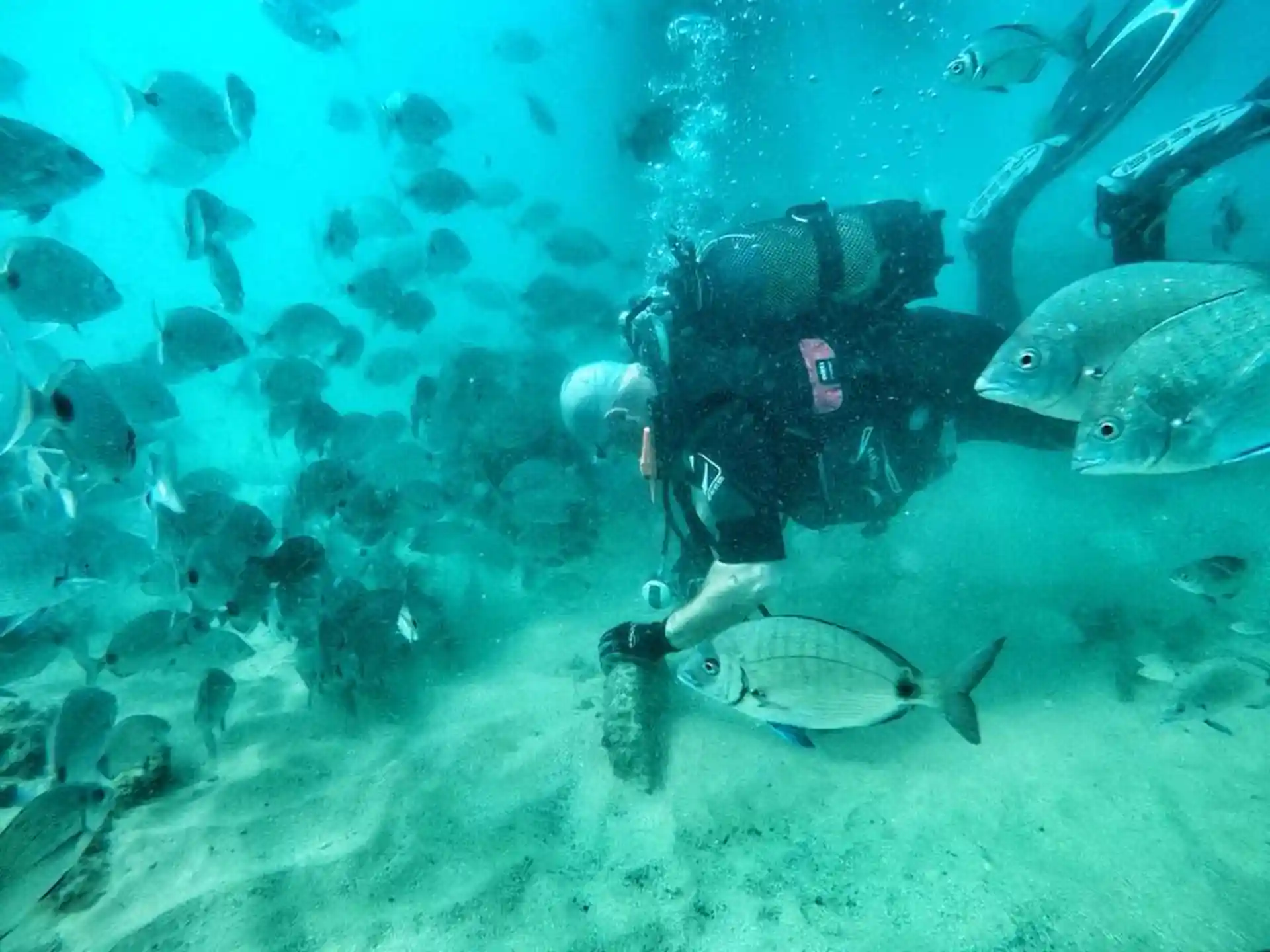 Photo de l'activité