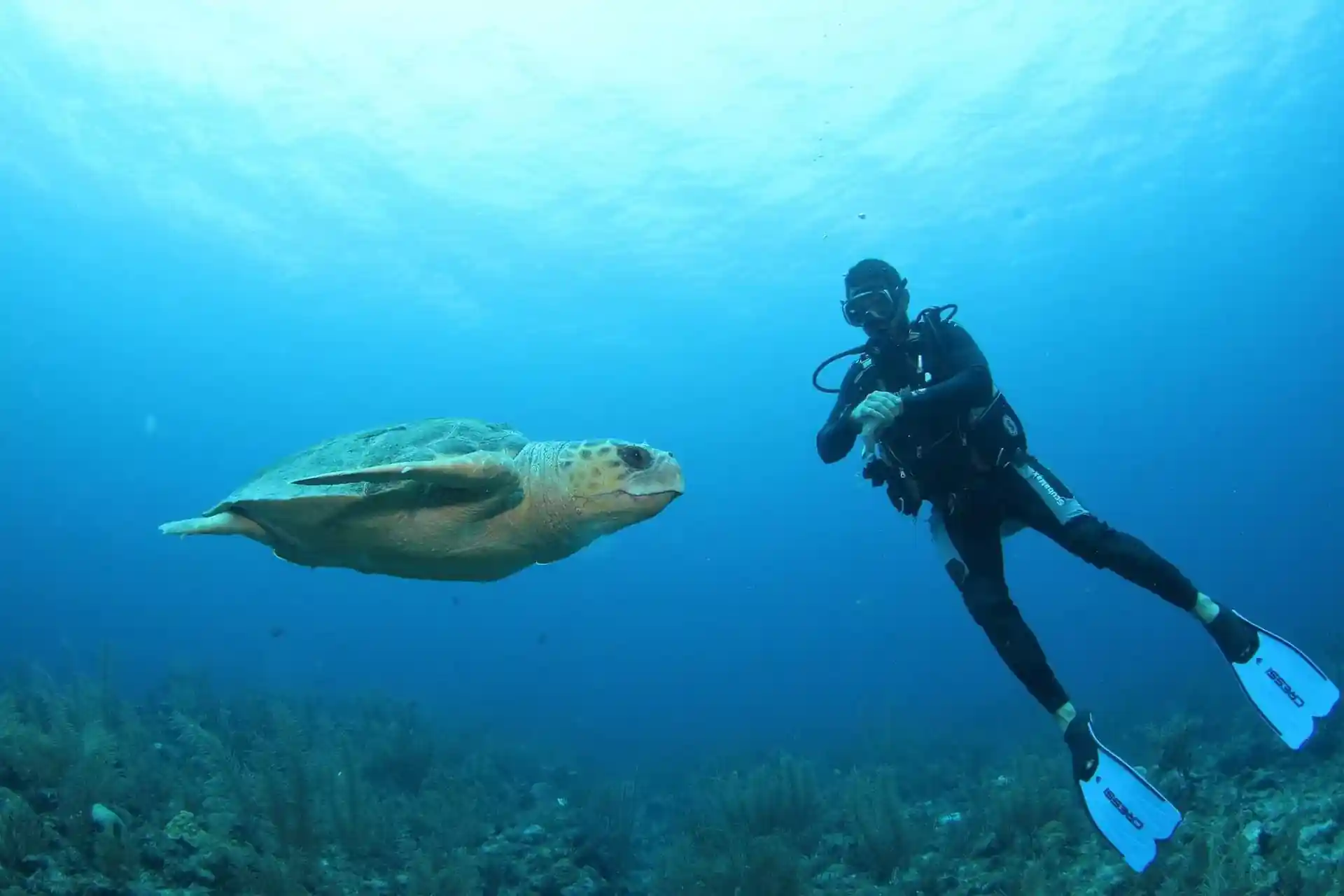 Dive shop photo