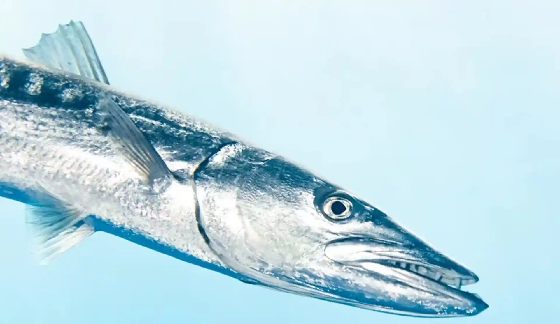 Foto des Tauchplatzes