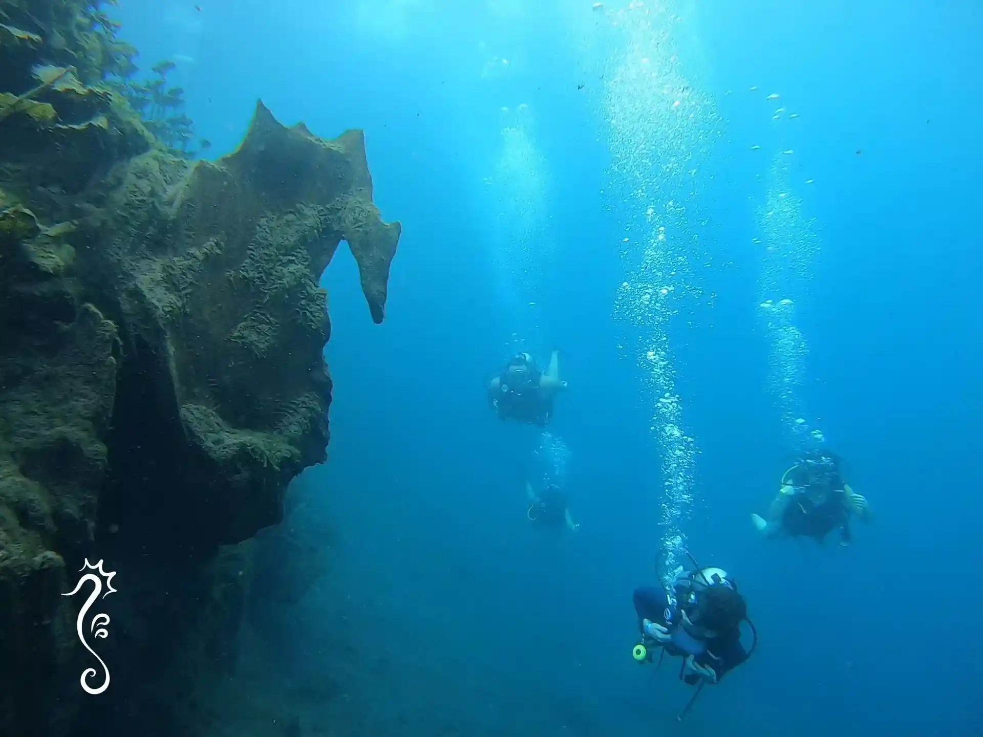 Foto del sitio de buceo