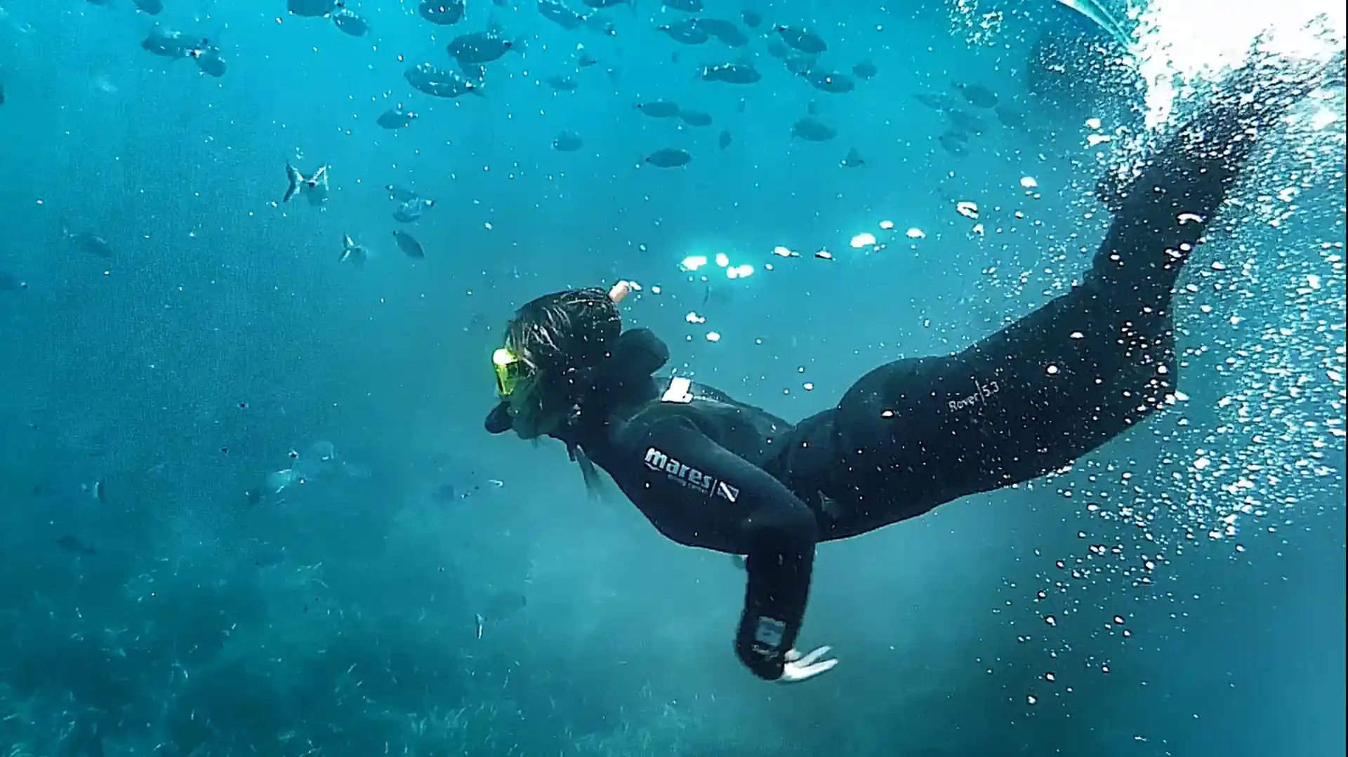 Photo de l'activité