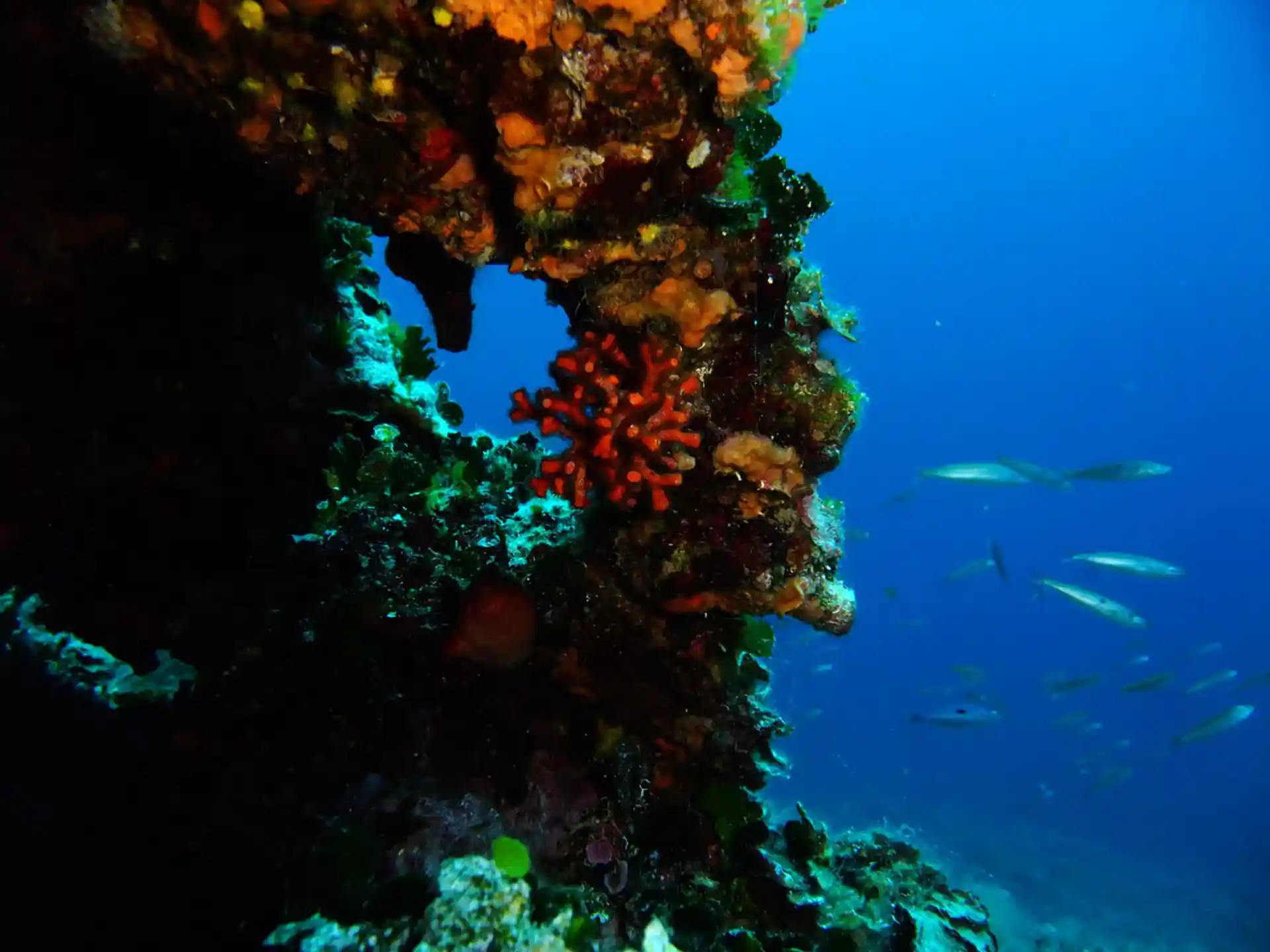 Photo de l'activité