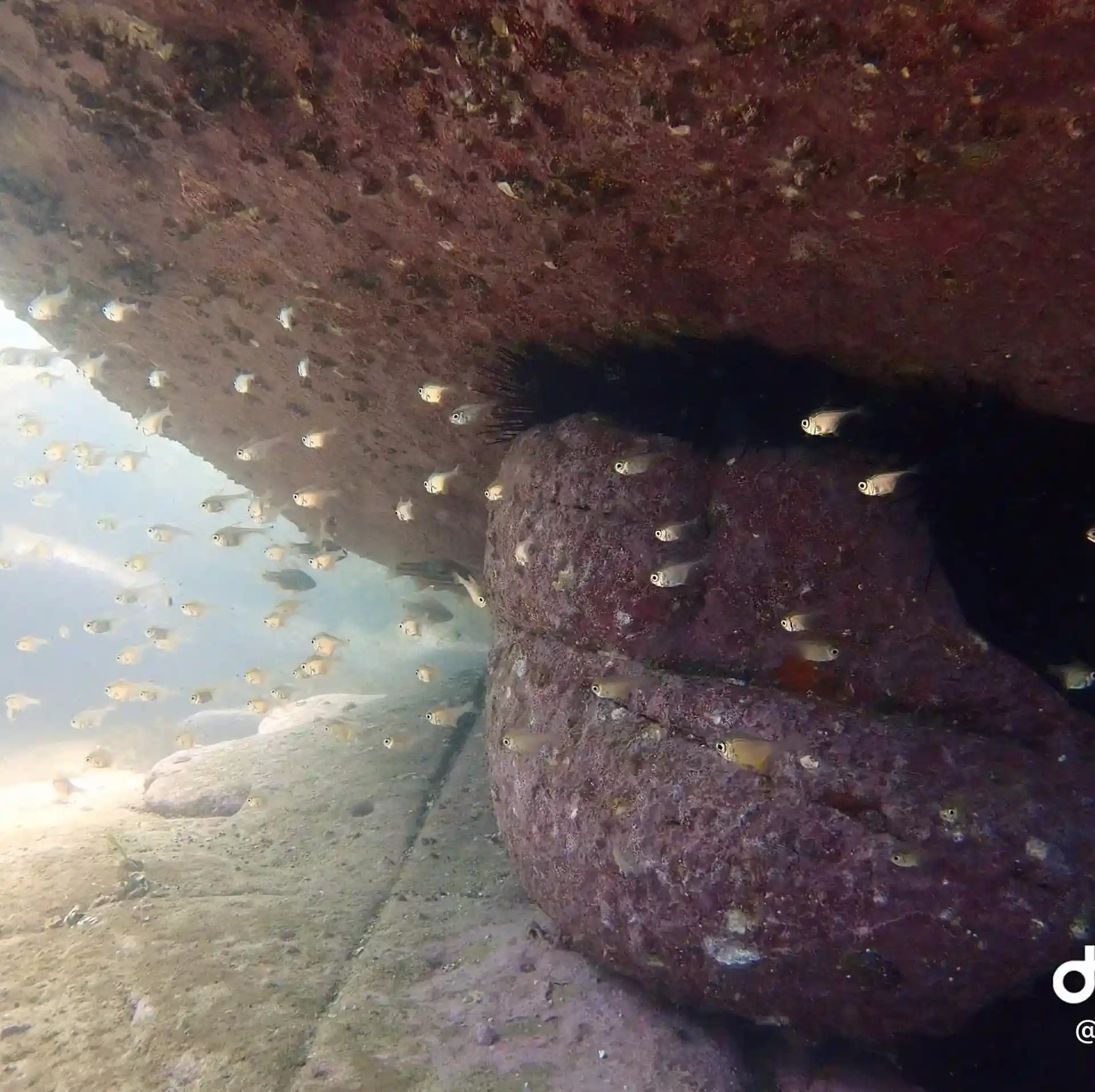 다이빙 포인트 사진