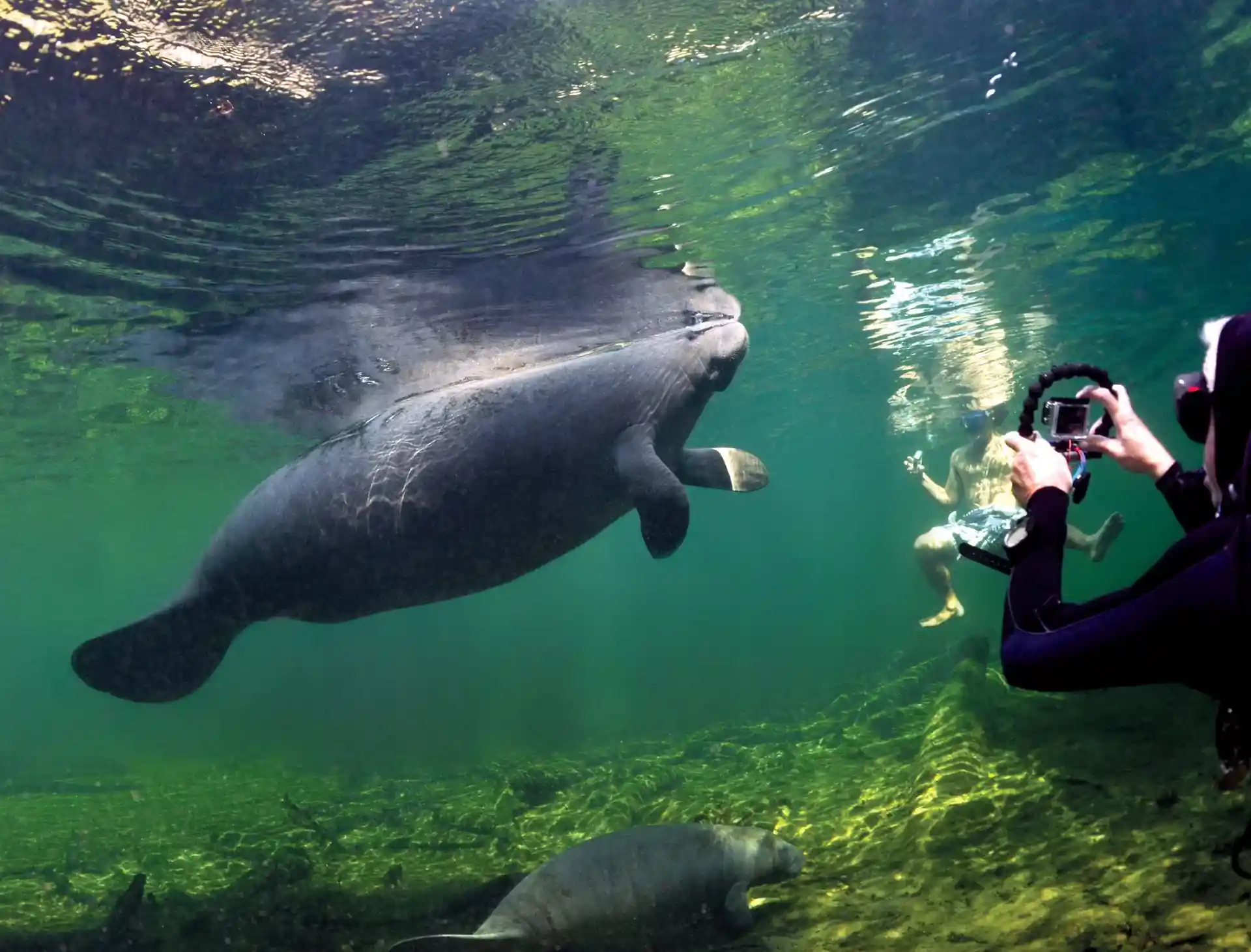 Foto des Tauchplatzes