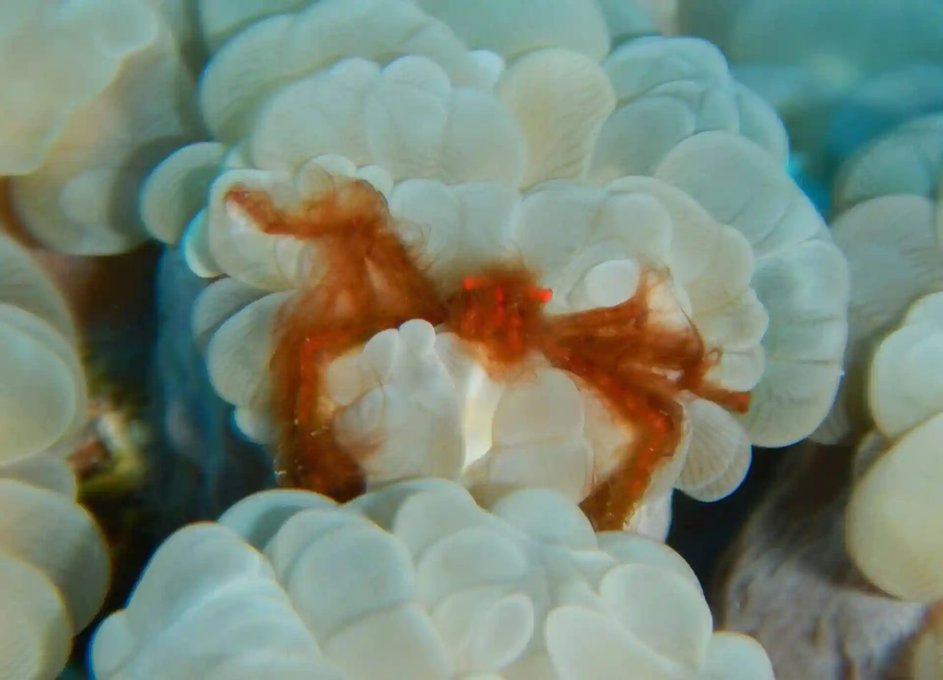 Foto des Tauchplatzes