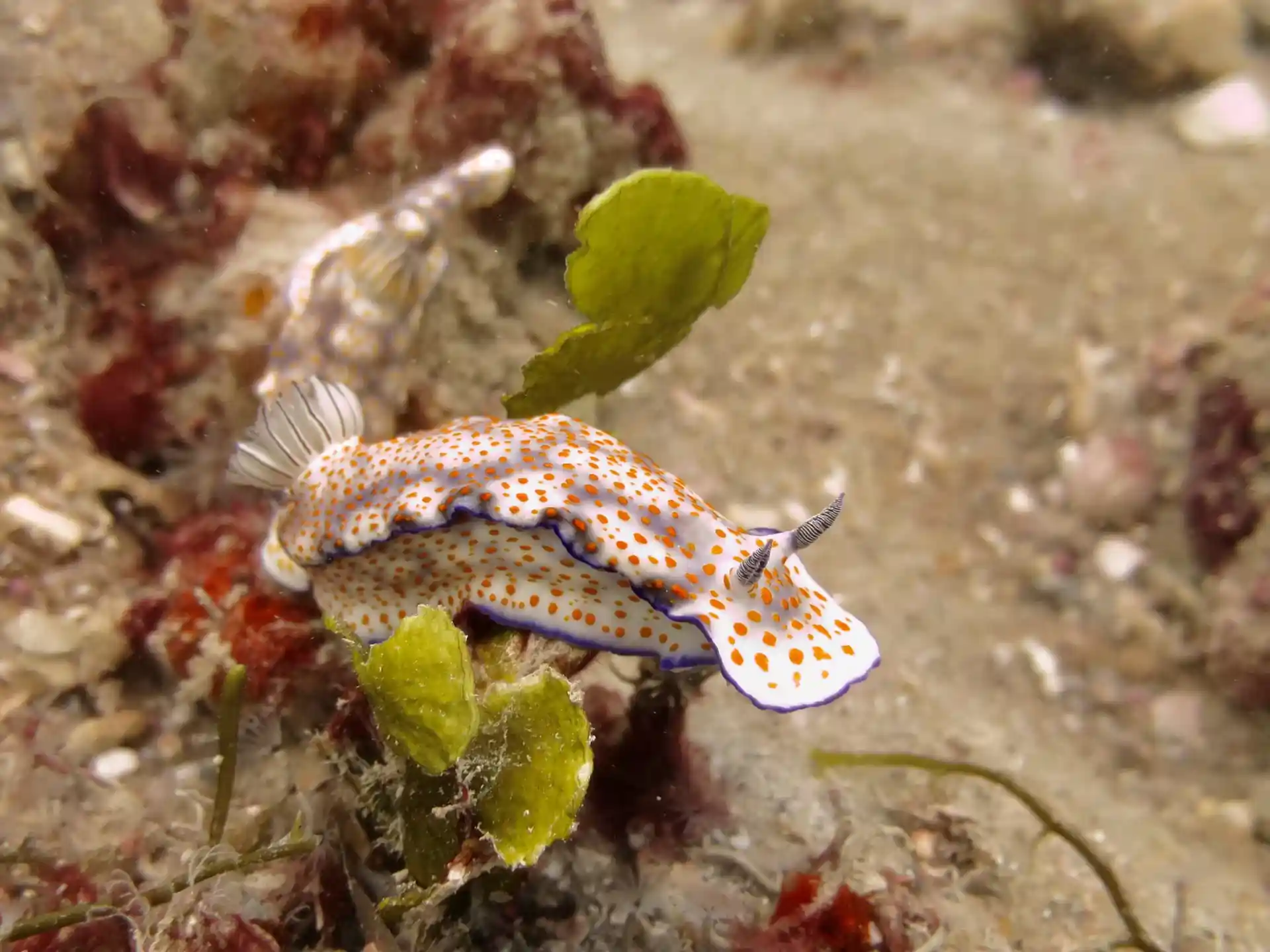 Foto van de duiklocatie