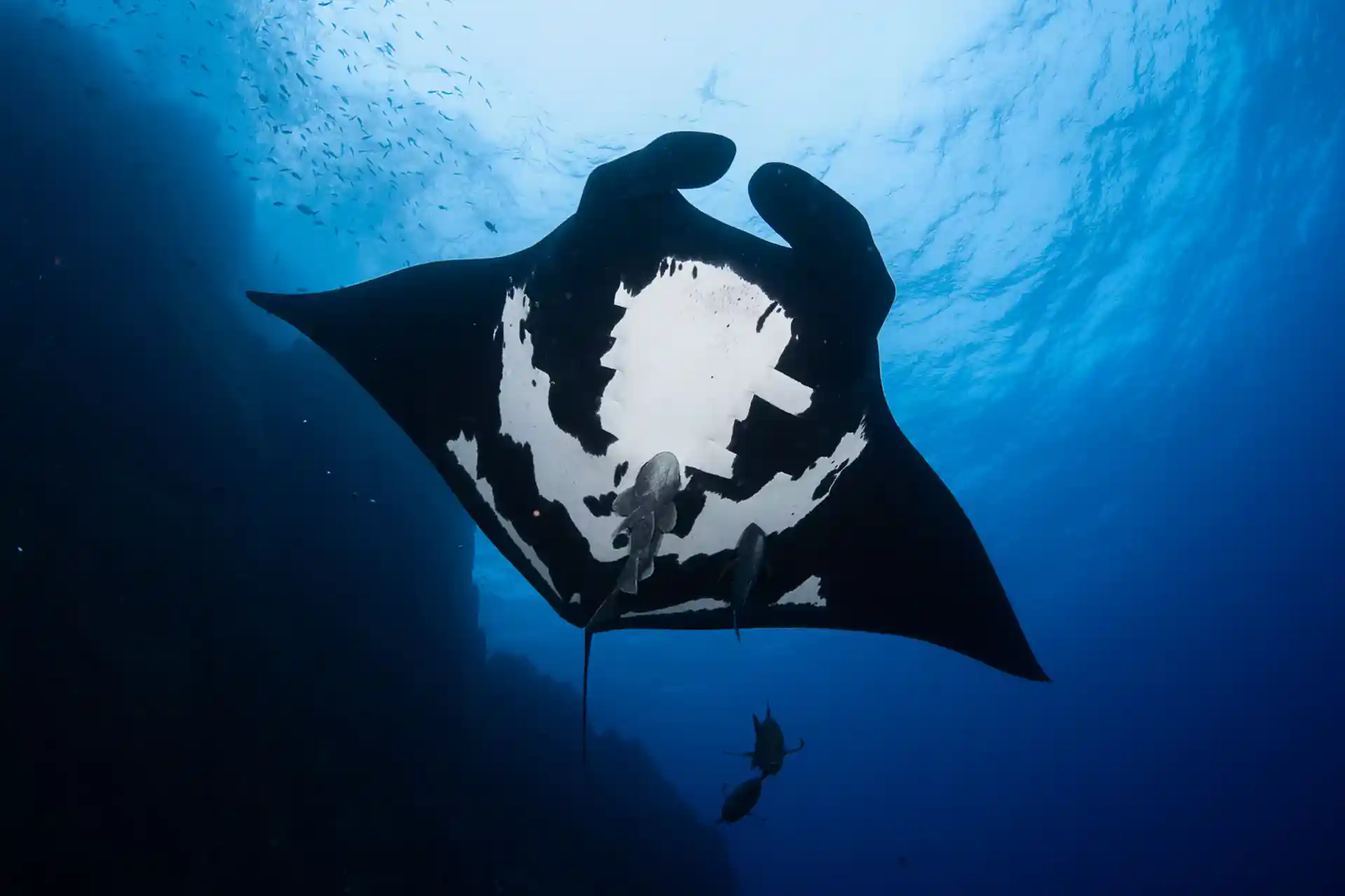 Dive site photo