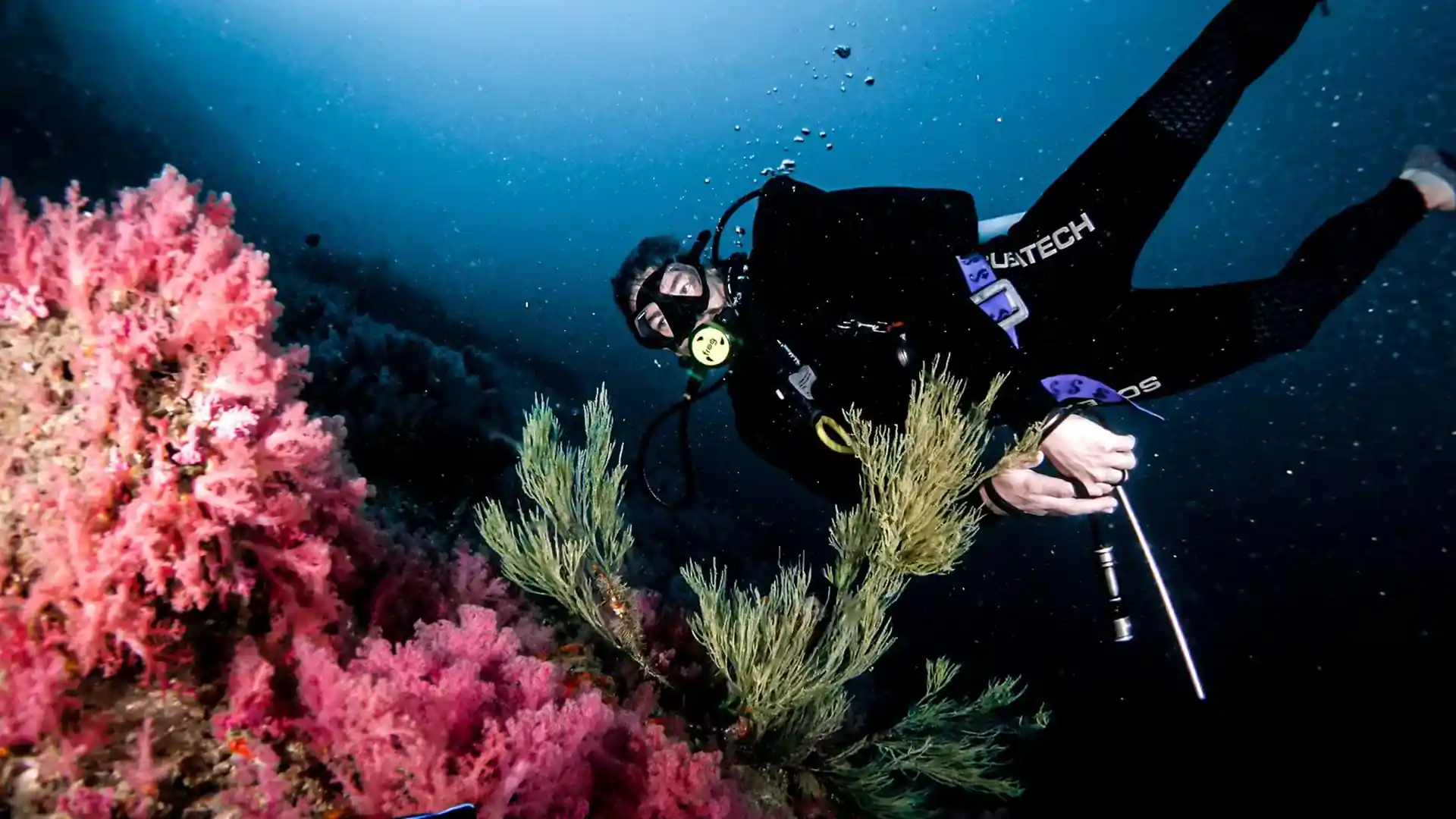 Dive site photo