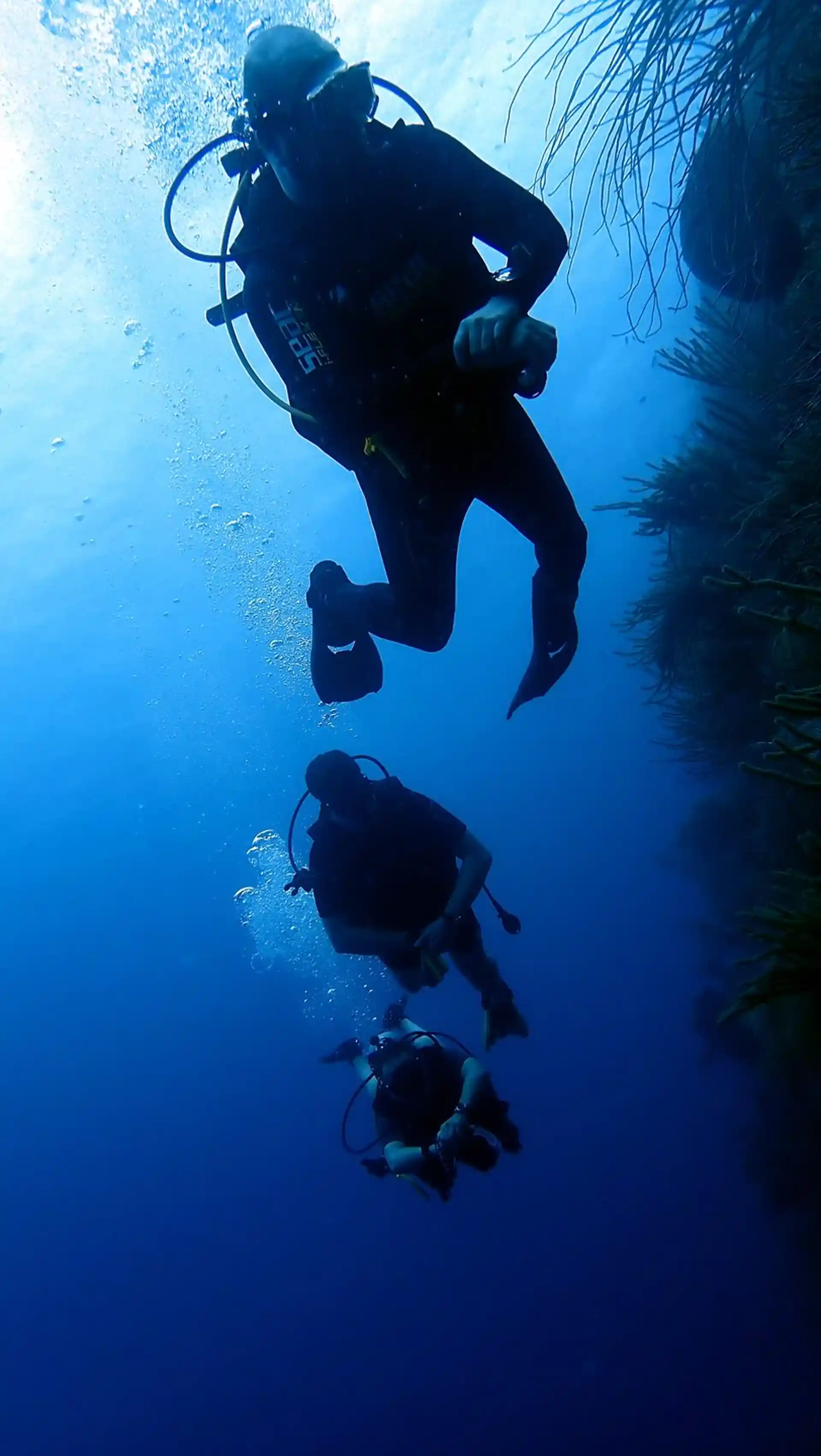 ダイビングサイトの写真