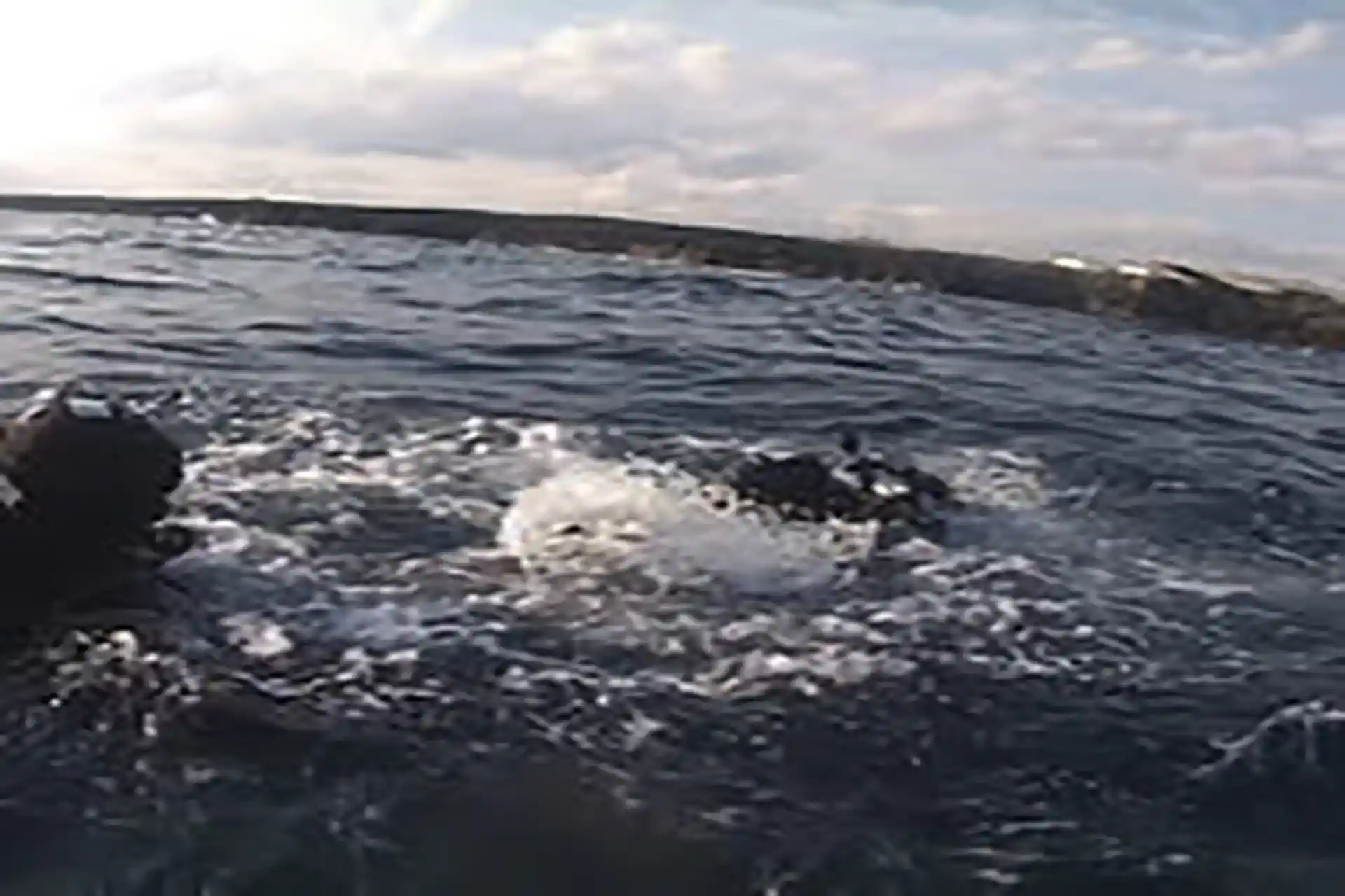 Aiuta chi è in pericolo