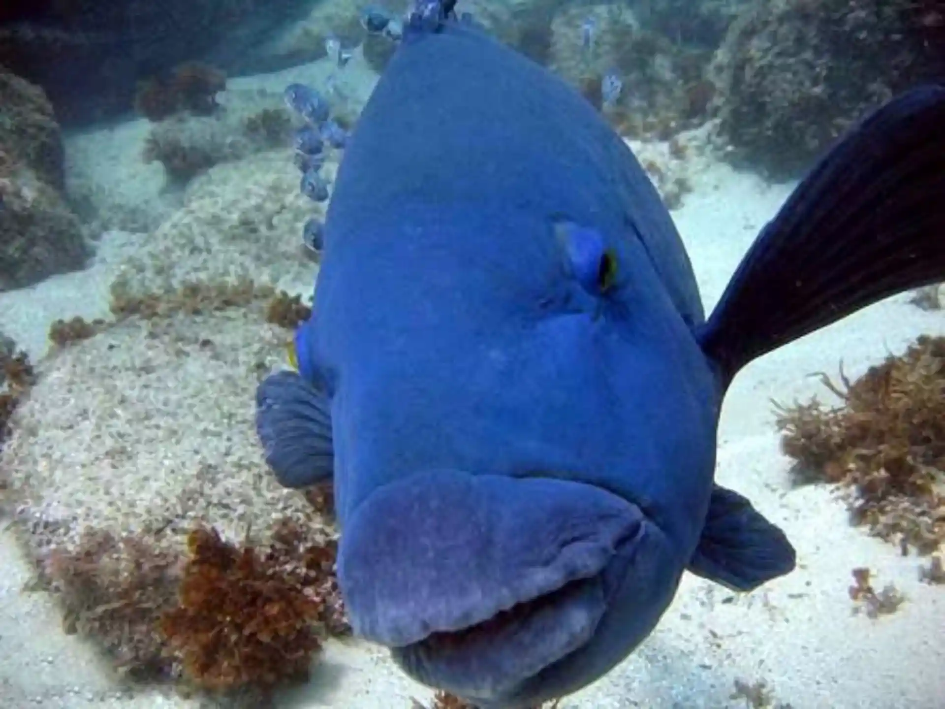 Dive site photo