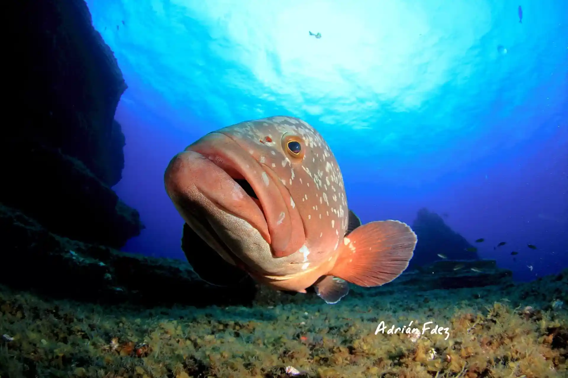 Foto del sitio de buceo