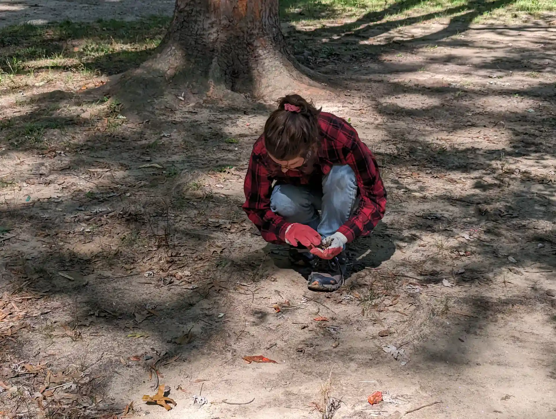 Foto de la actividad