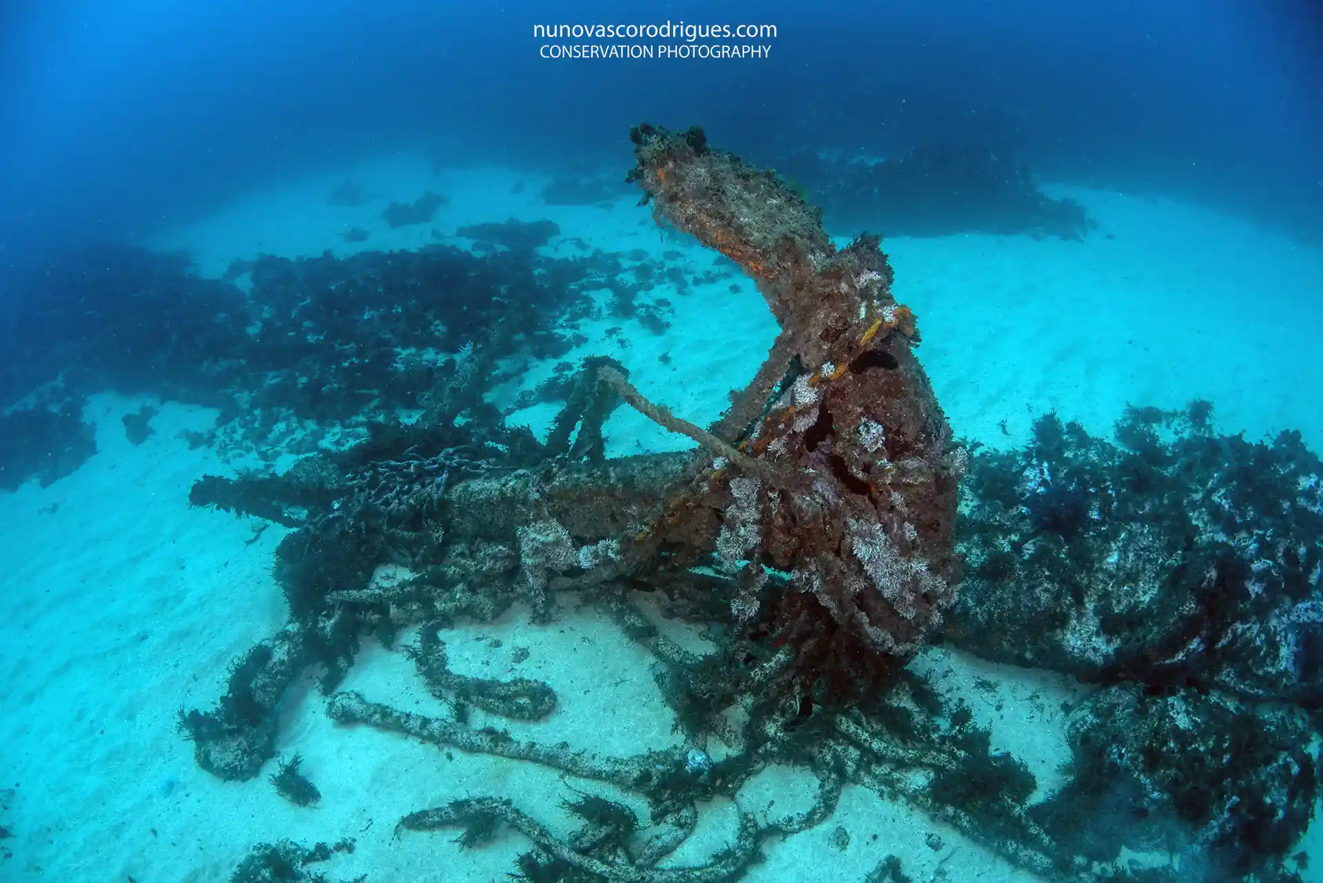 Dive site photo