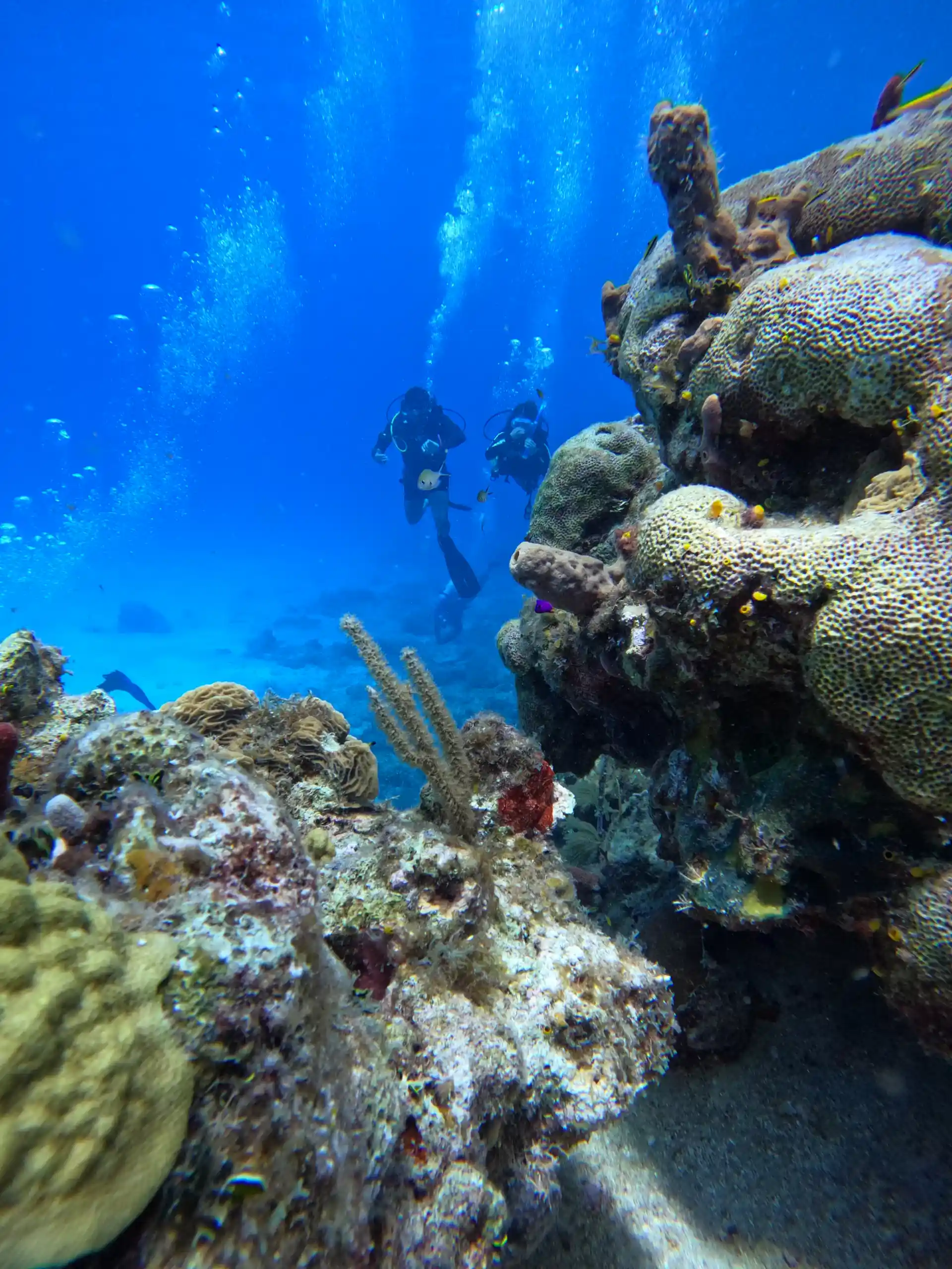 Foto de la actividad