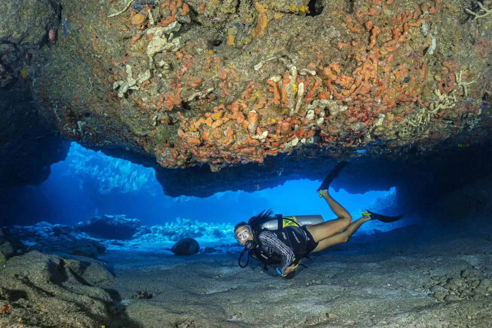 Photo du site de plongée