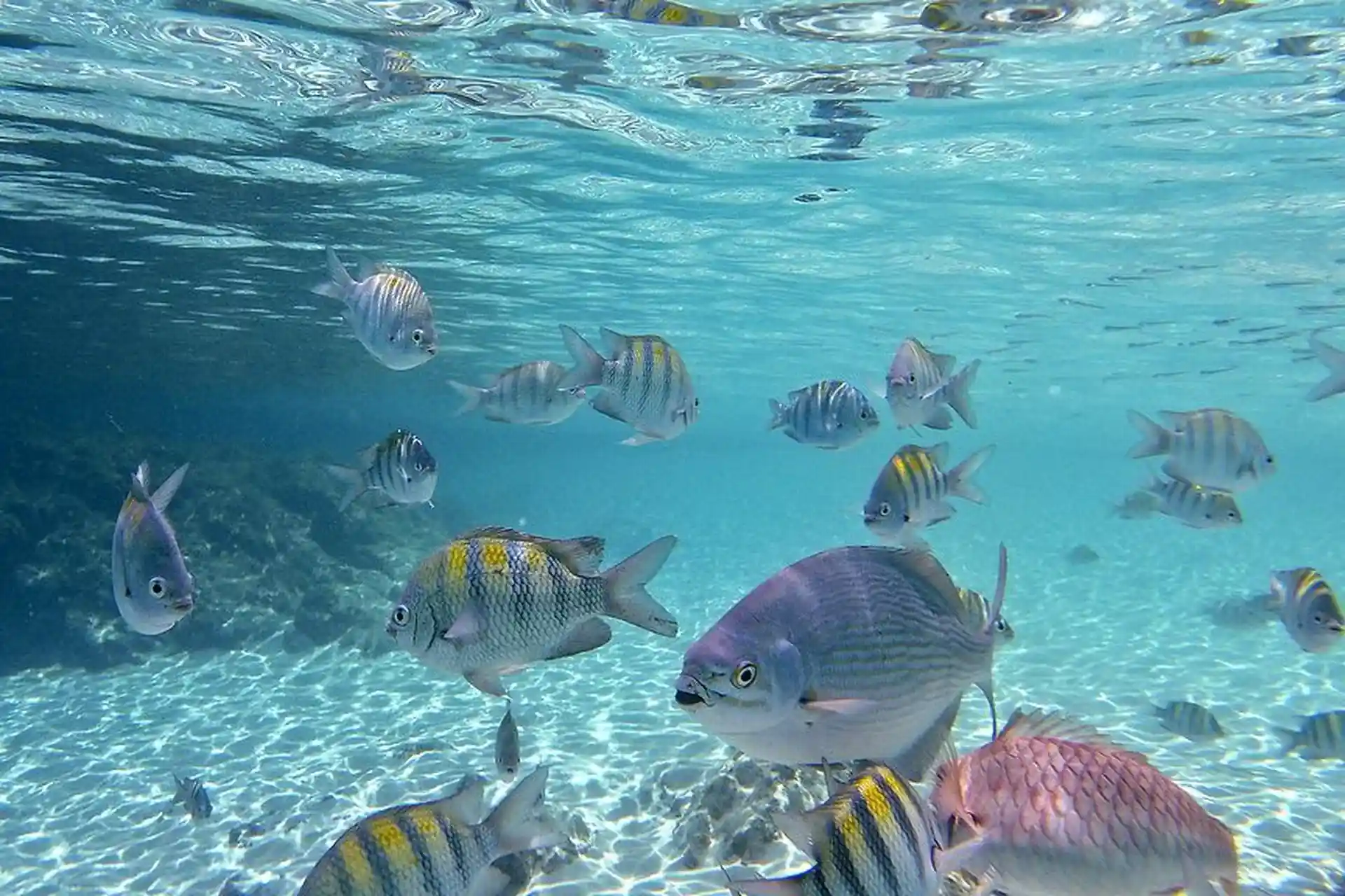 Dive site photo