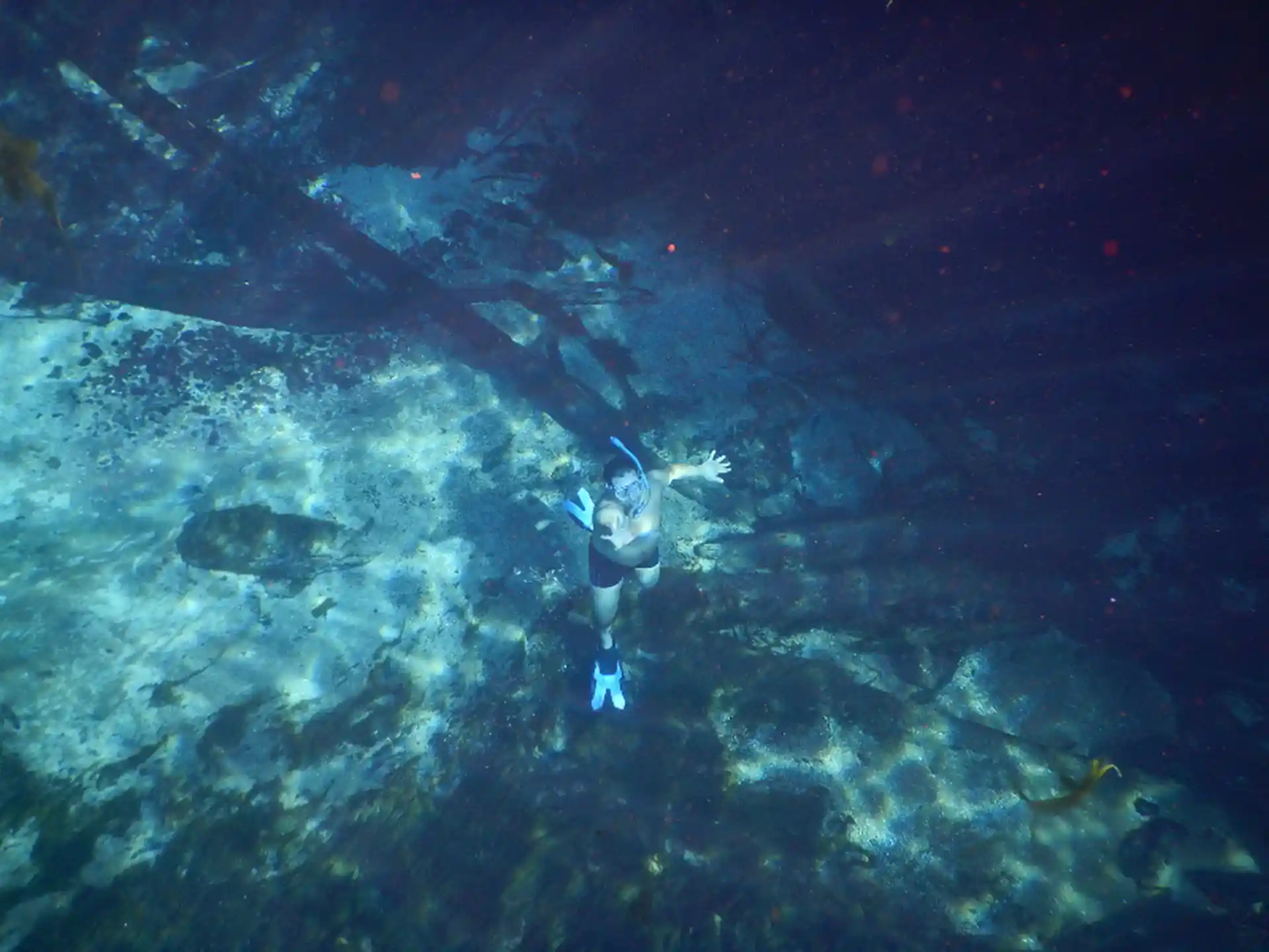 Dive site photo