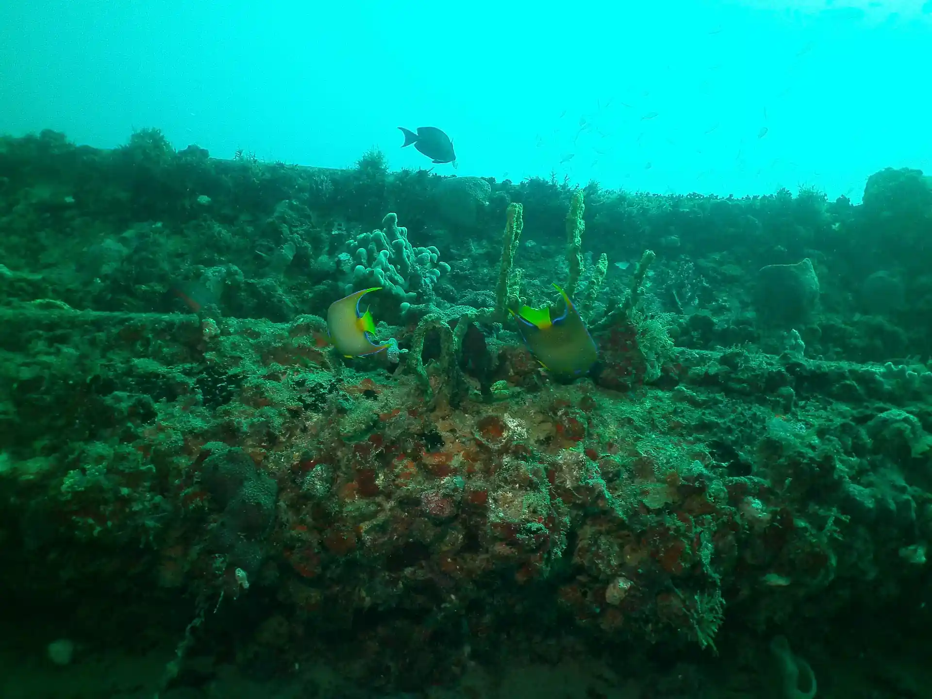 Dive site photo