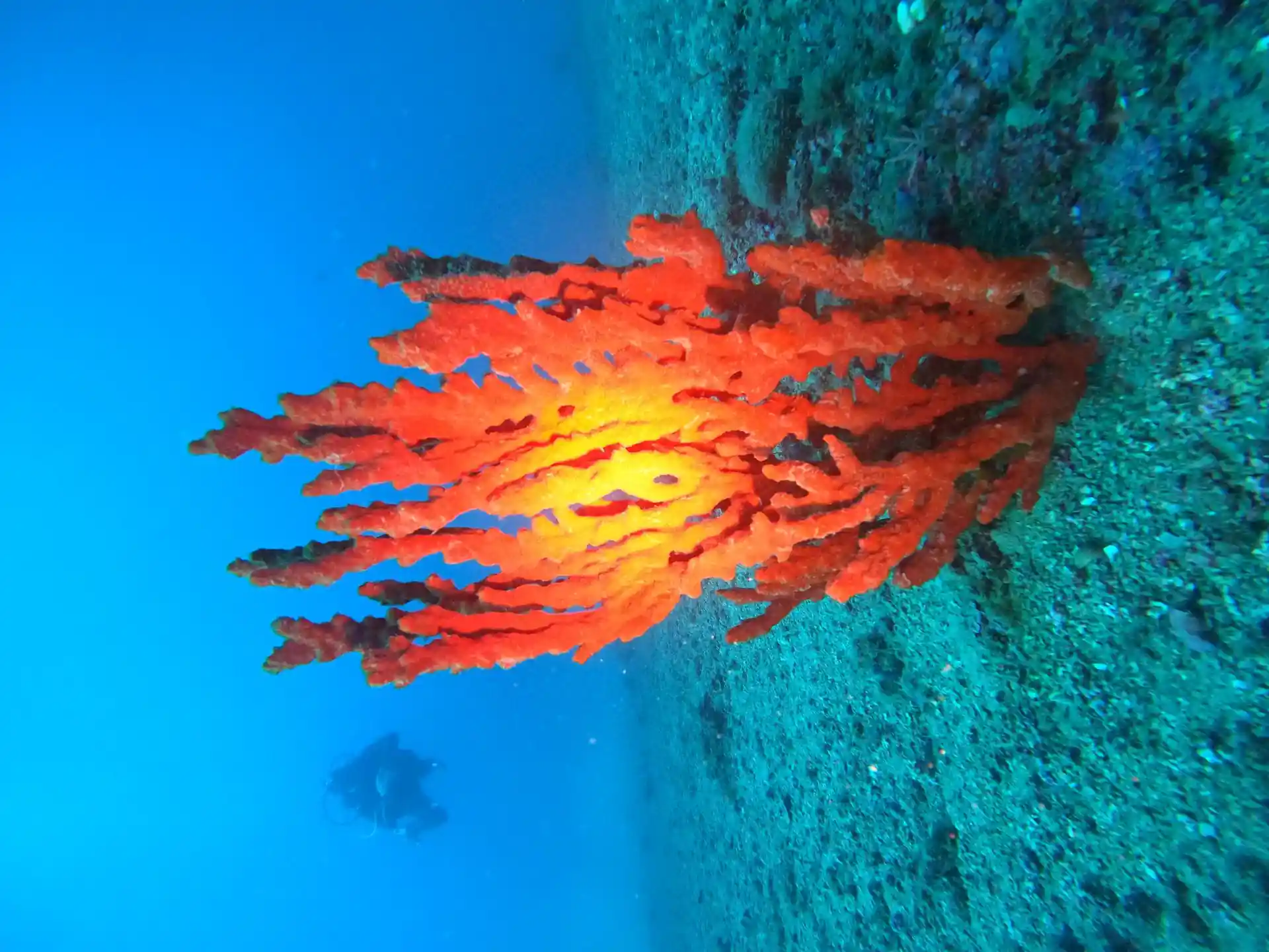 潜水点图片
