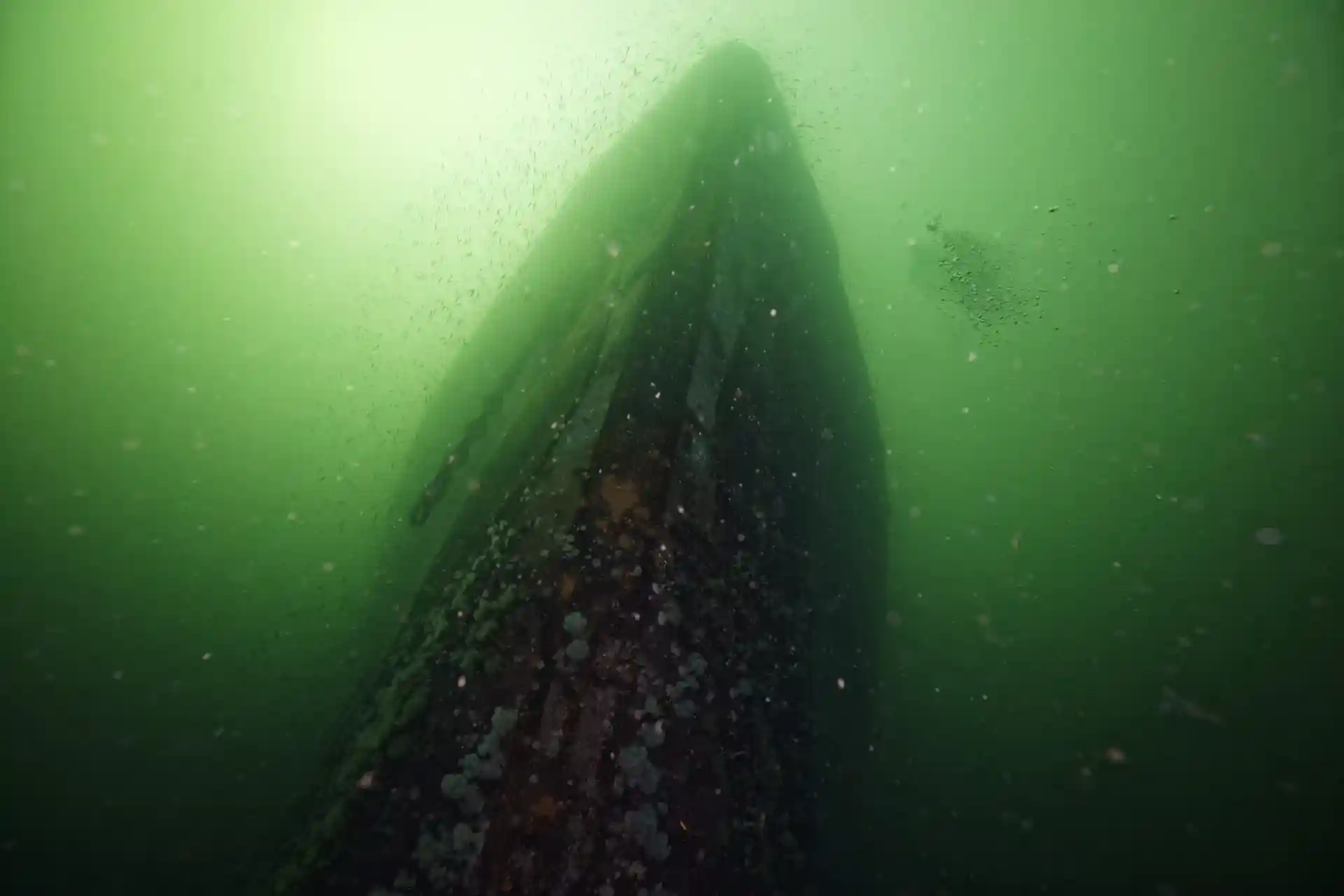 ダイビングサイトの写真