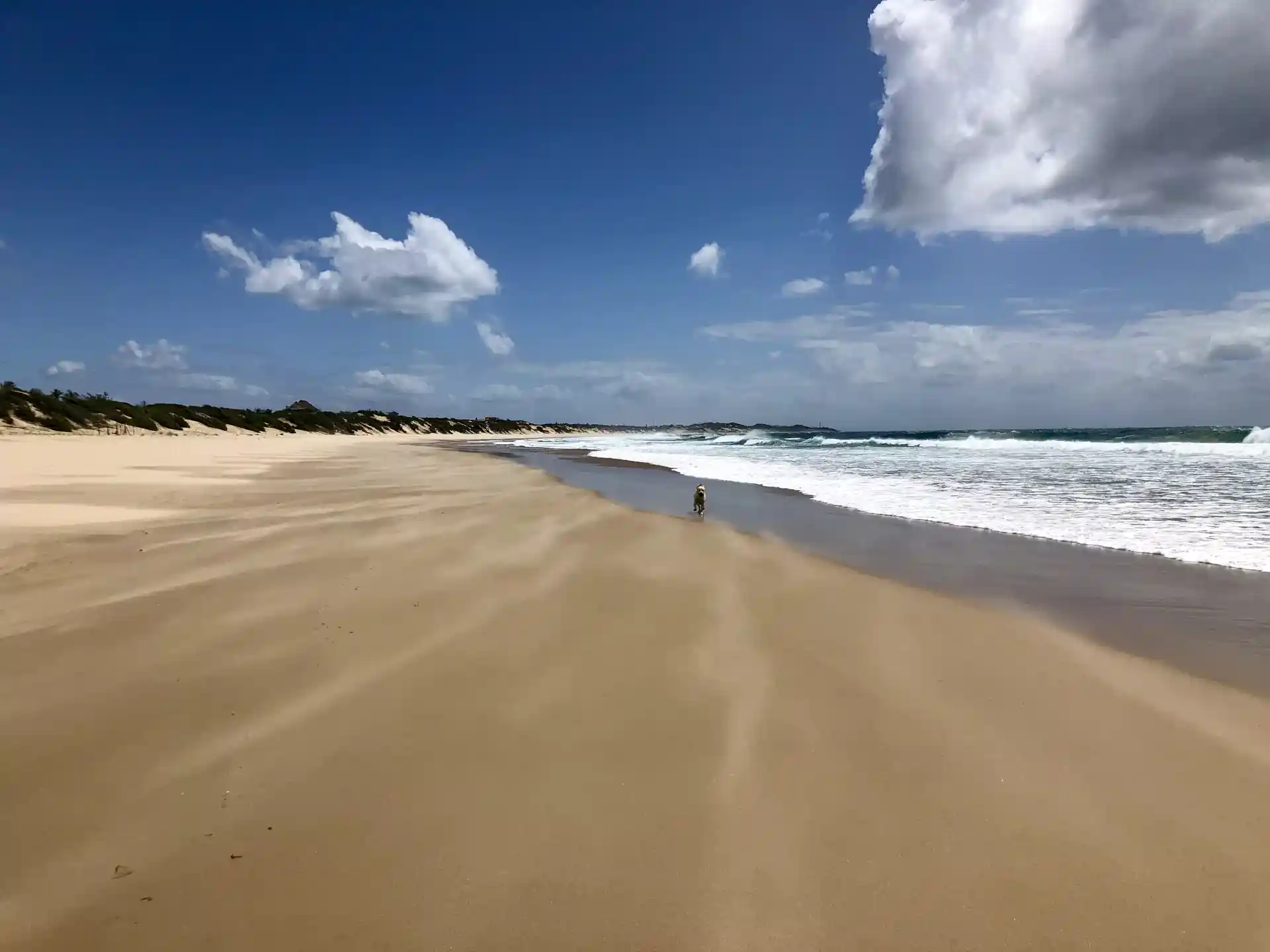 Enjoy the spectacularly beautiful Tofo Beach while cleaning it.