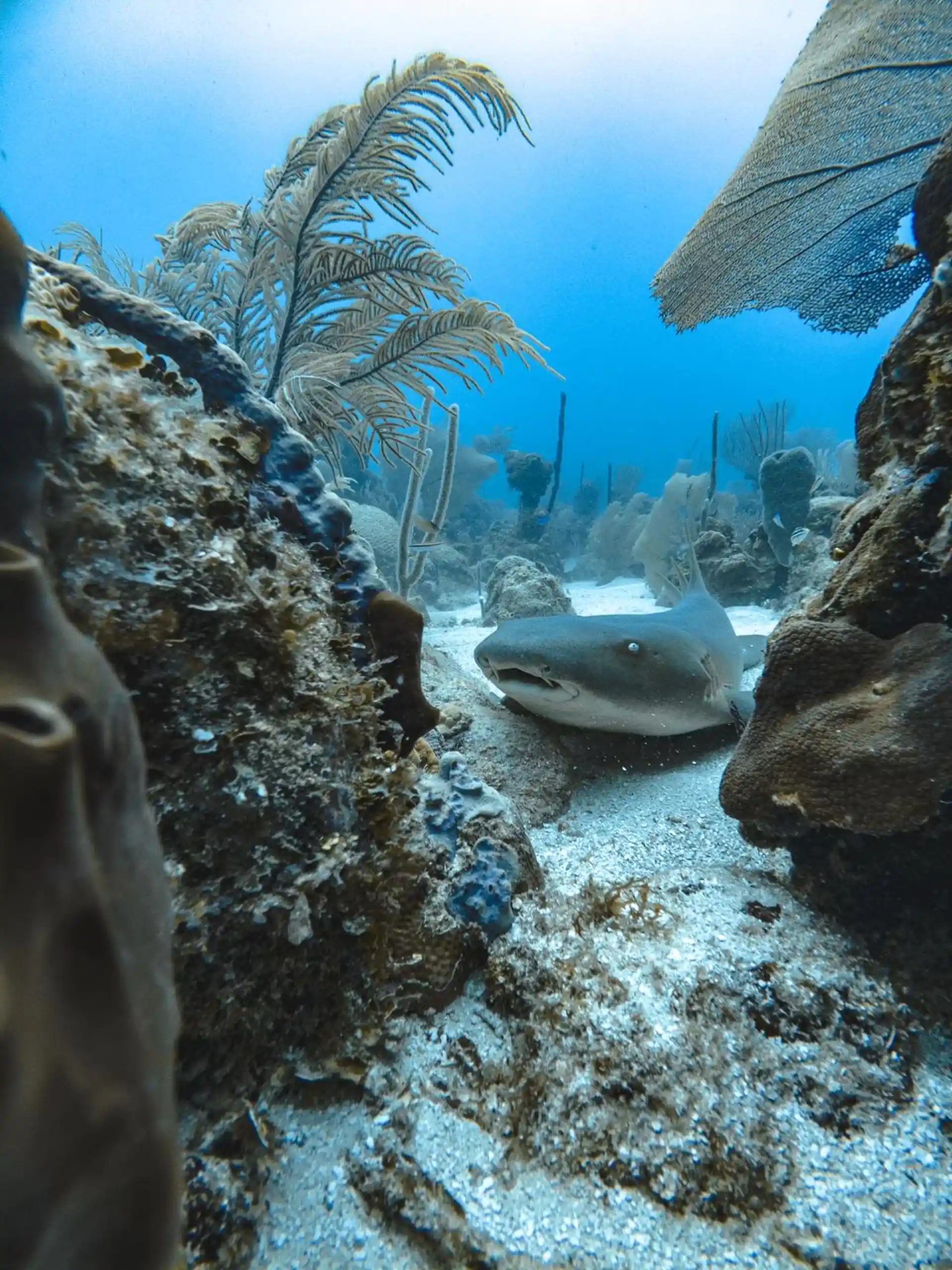 Dive site photo