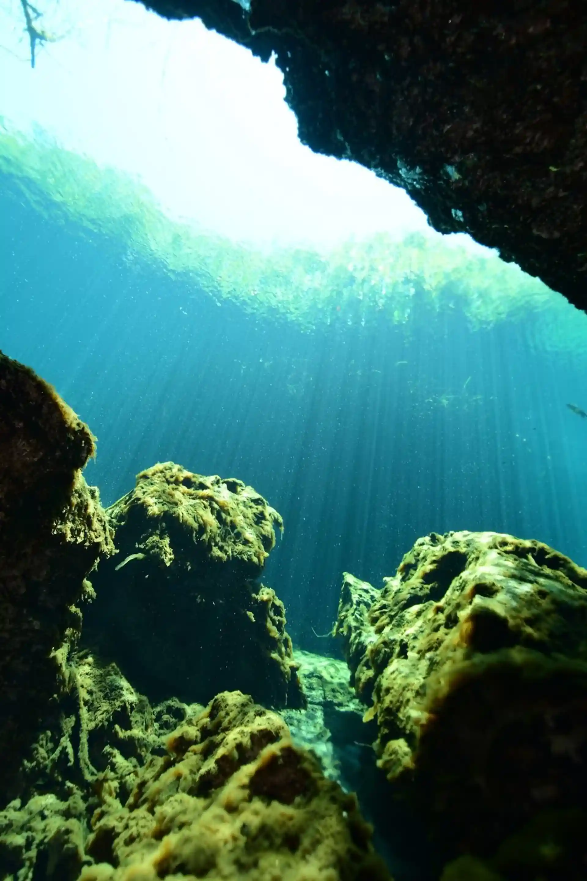 Dive site photo