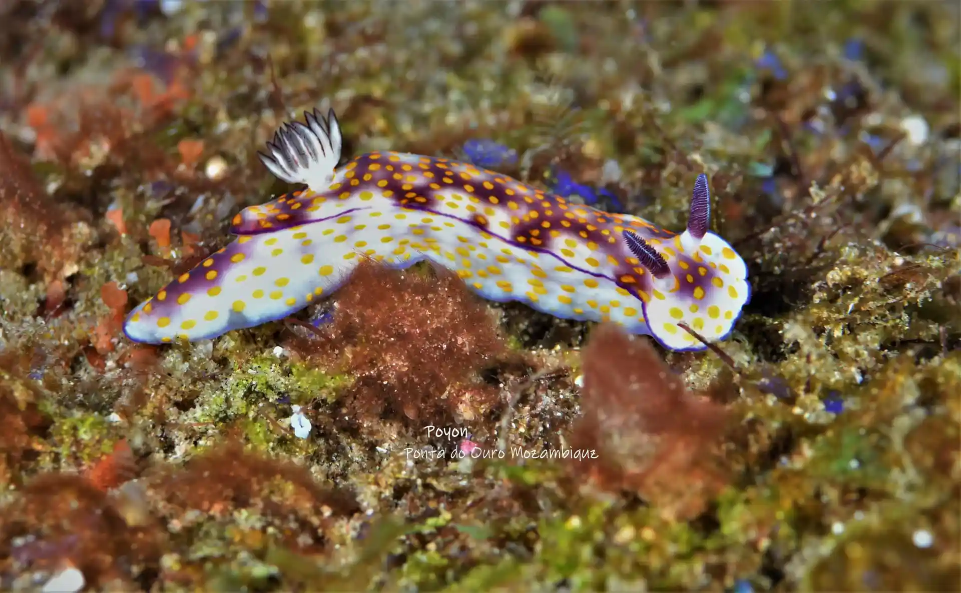 Dive site photo