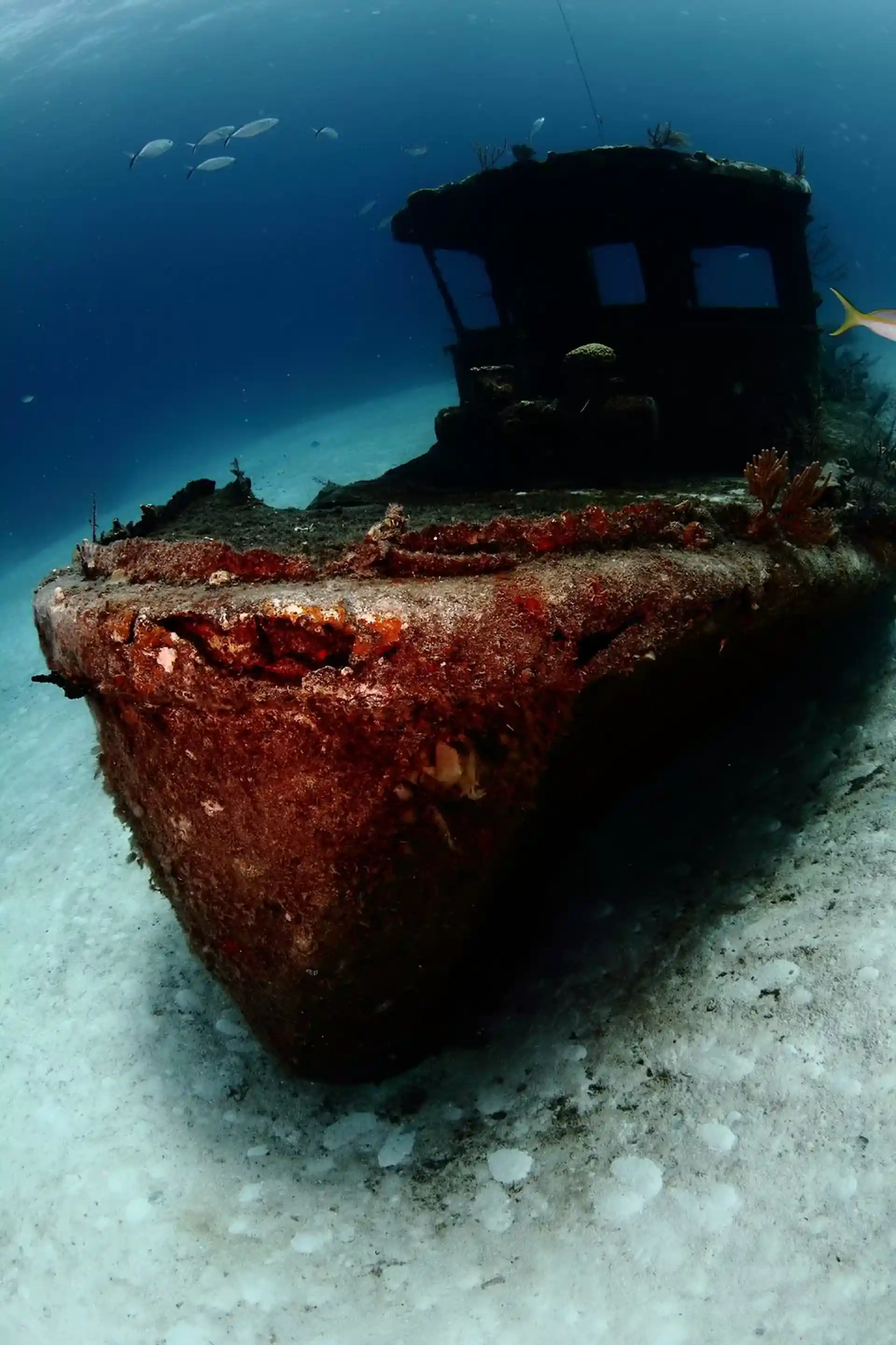 ダイビングサイトの写真