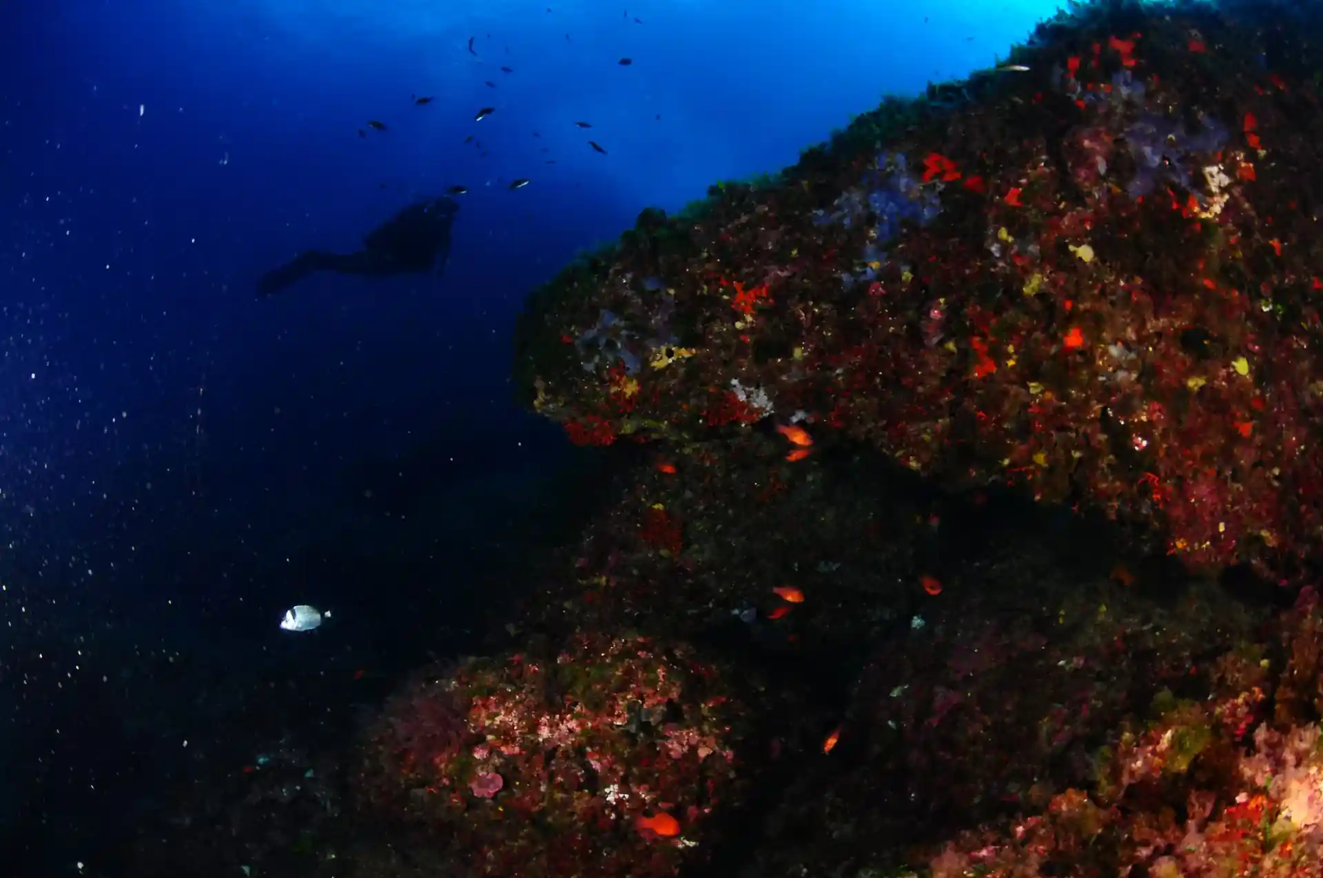 Foto del sitio de buceo