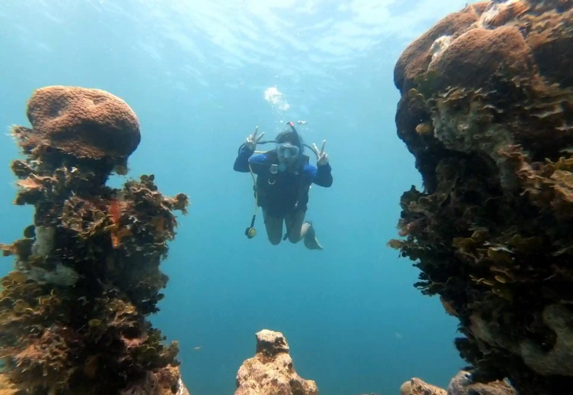 New depths, more adventure, and marine life all around you.