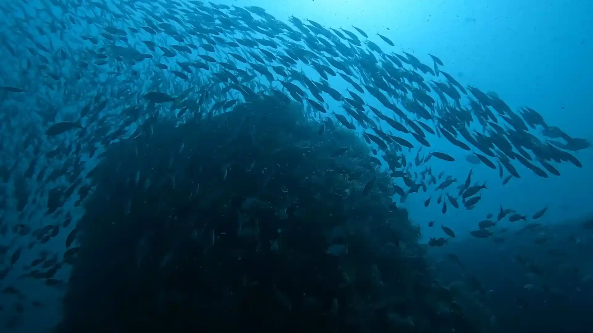 Dive site photo